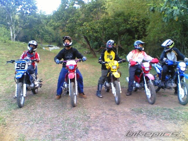 2005 HONDA XRM 110 | Picture 2047030 motorcycle photo