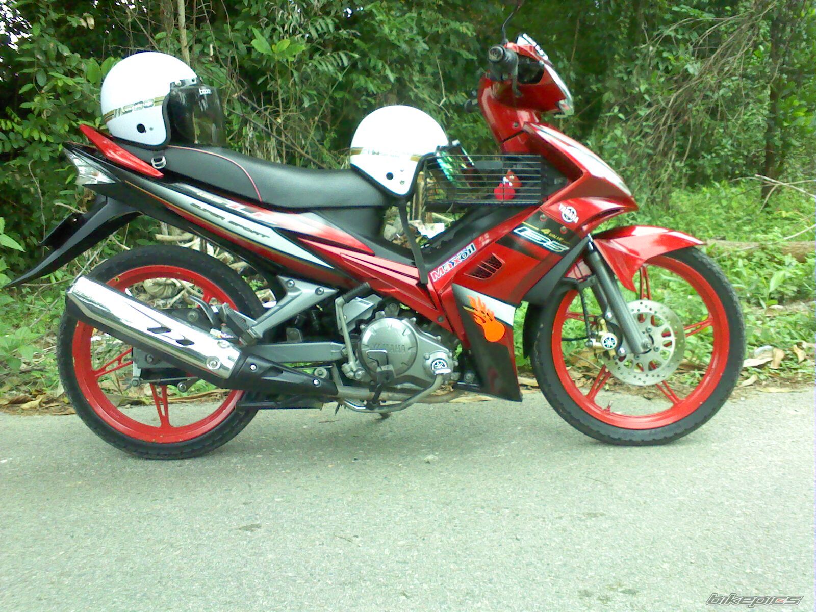 2010 HONDA HONDA EX5 | Picture 2047263 motorcycle photo