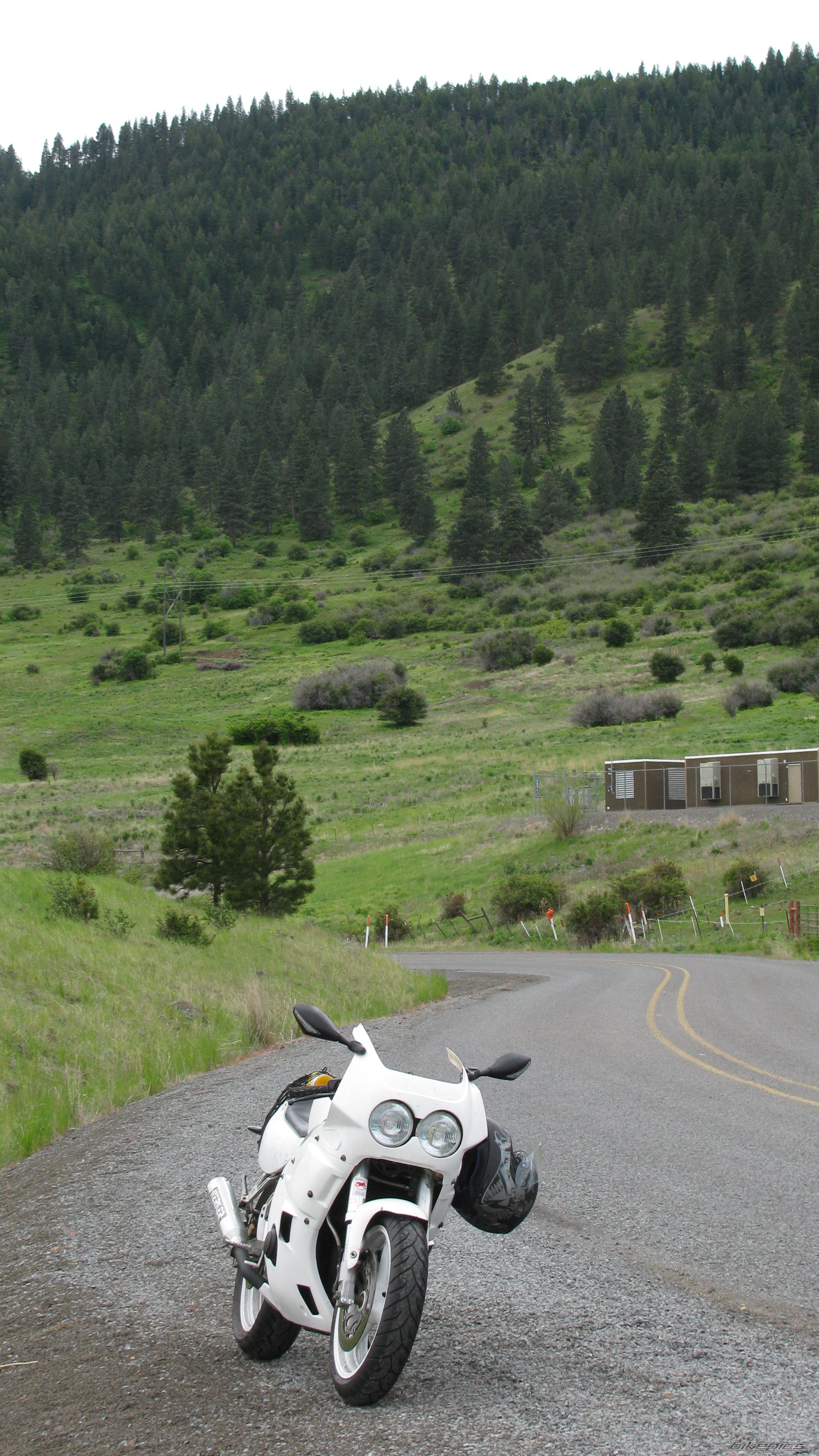 1988 YAMAHA FZR 400 | Picture 2048076 motorcycle photo