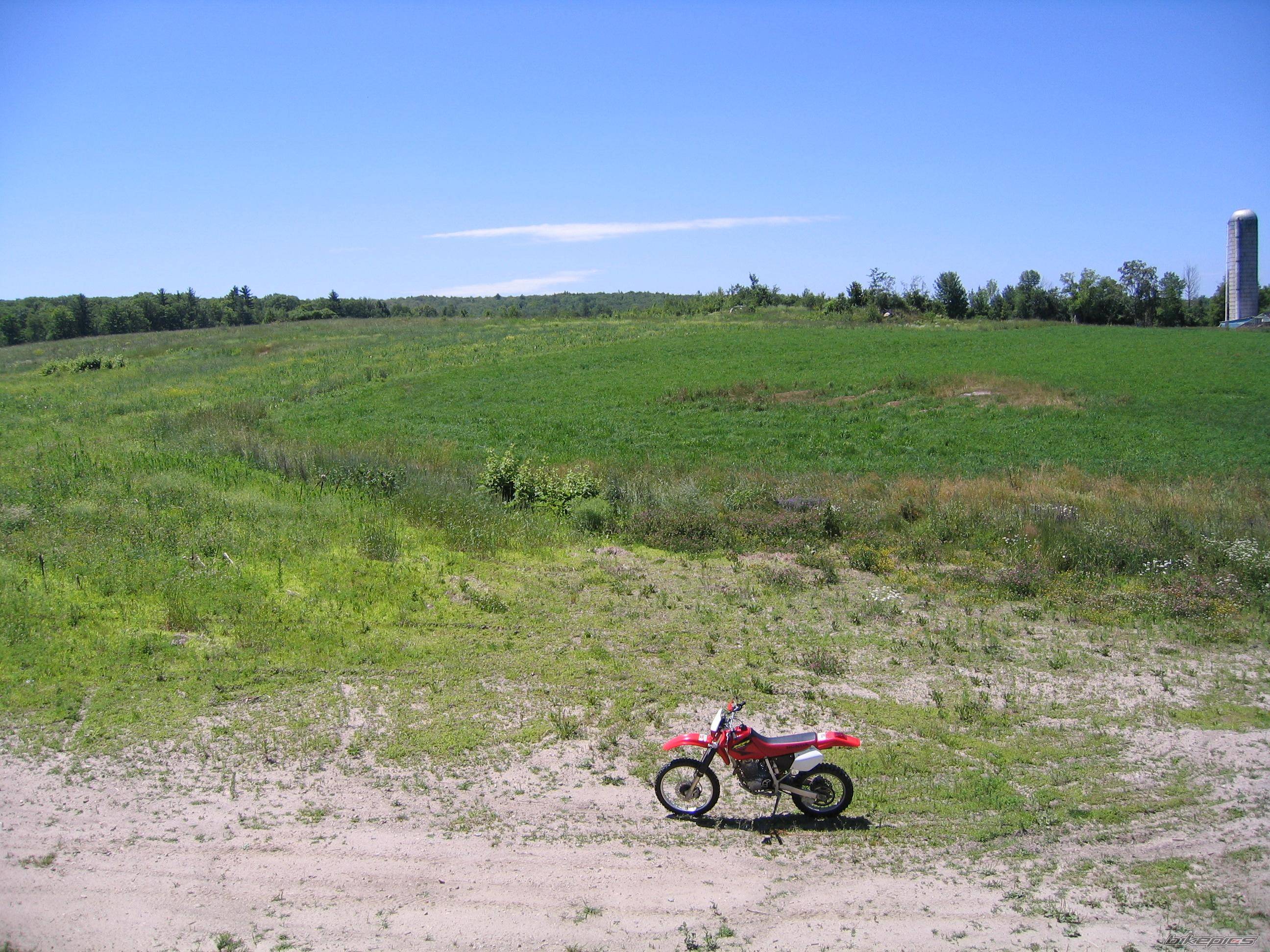 2003 HONDA XR 250 | Picture 204808 motorcycle photo