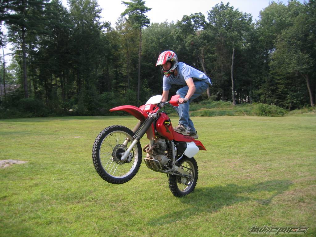 2003 HONDA XR 250 | Picture 204812 motorcycle photo