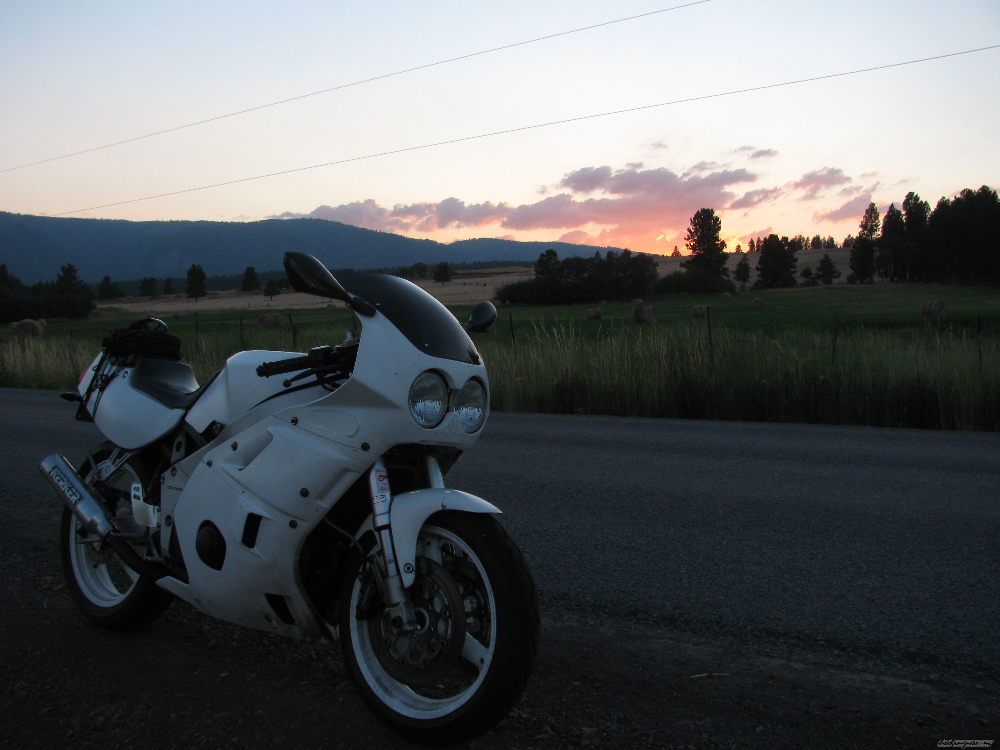 1988 YAMAHA FZR 400 | Picture 2048185 motorcycle photo