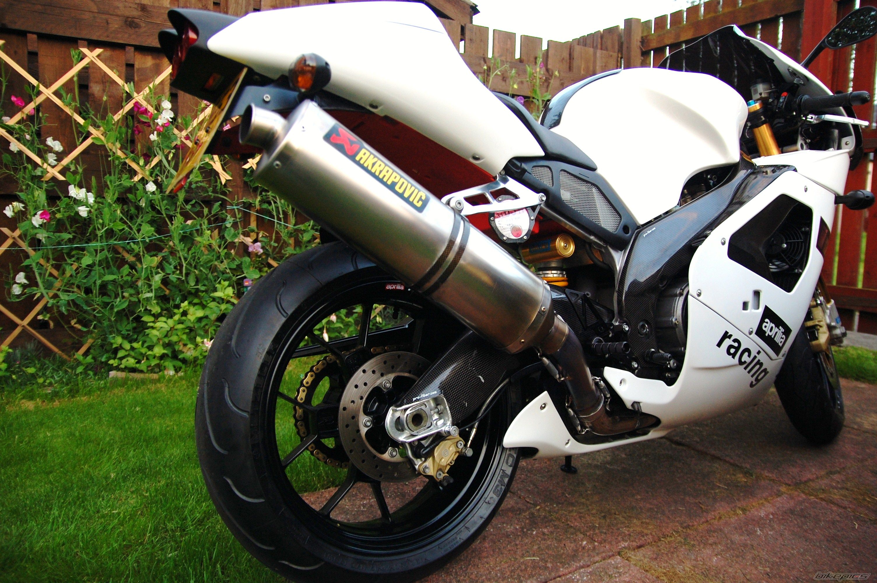 2001 APRILIA RSV 1000R MILLE | Picture 2048603 motorcycle photo