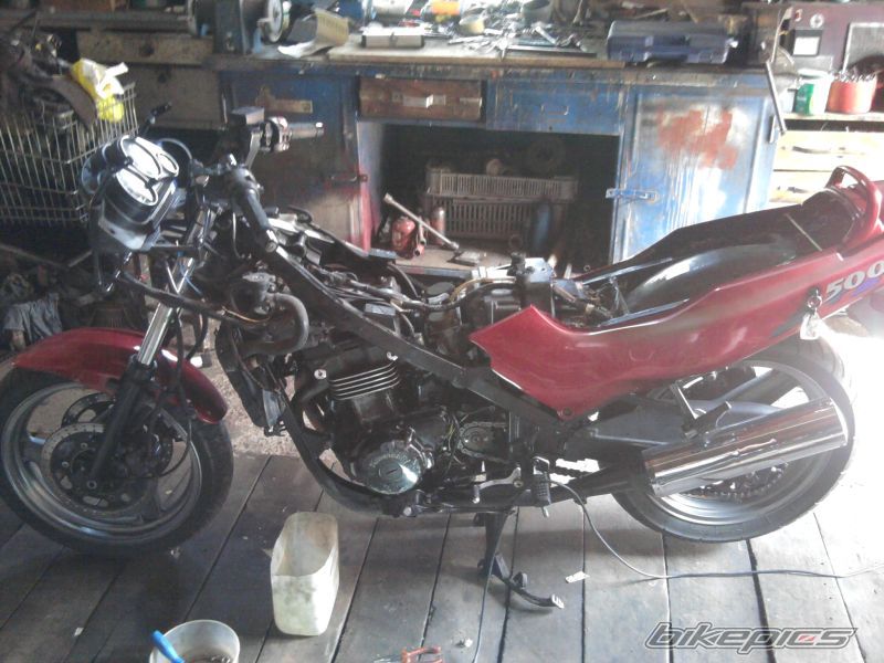 1995 KAWASAKI GPZ 500 | Picture 2048606 motorcycle photo