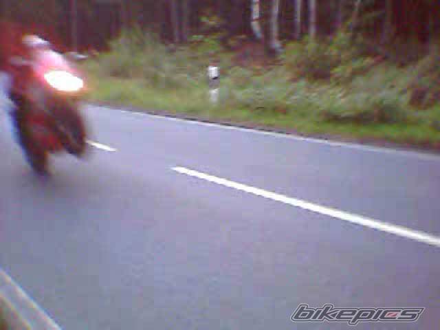 1995 APRILIA RS 50 | Picture 204920 motorcycle photo