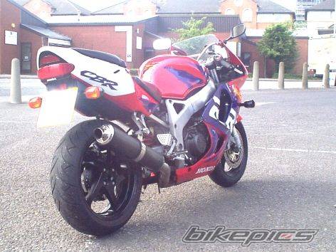 1998 HONDA CBR 900 | Picture 204929 motorcycle photo