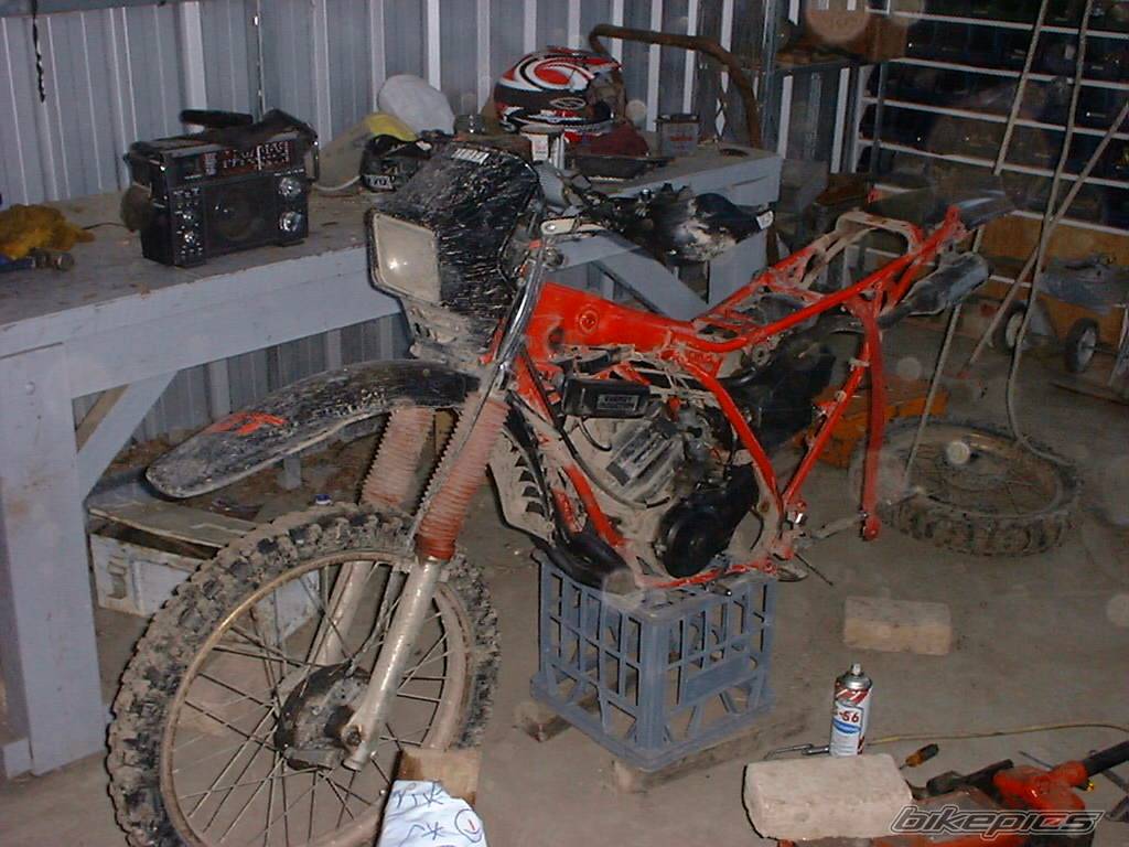 1989 YAMAHA DT 175 | Picture 204954 motorcycle photo