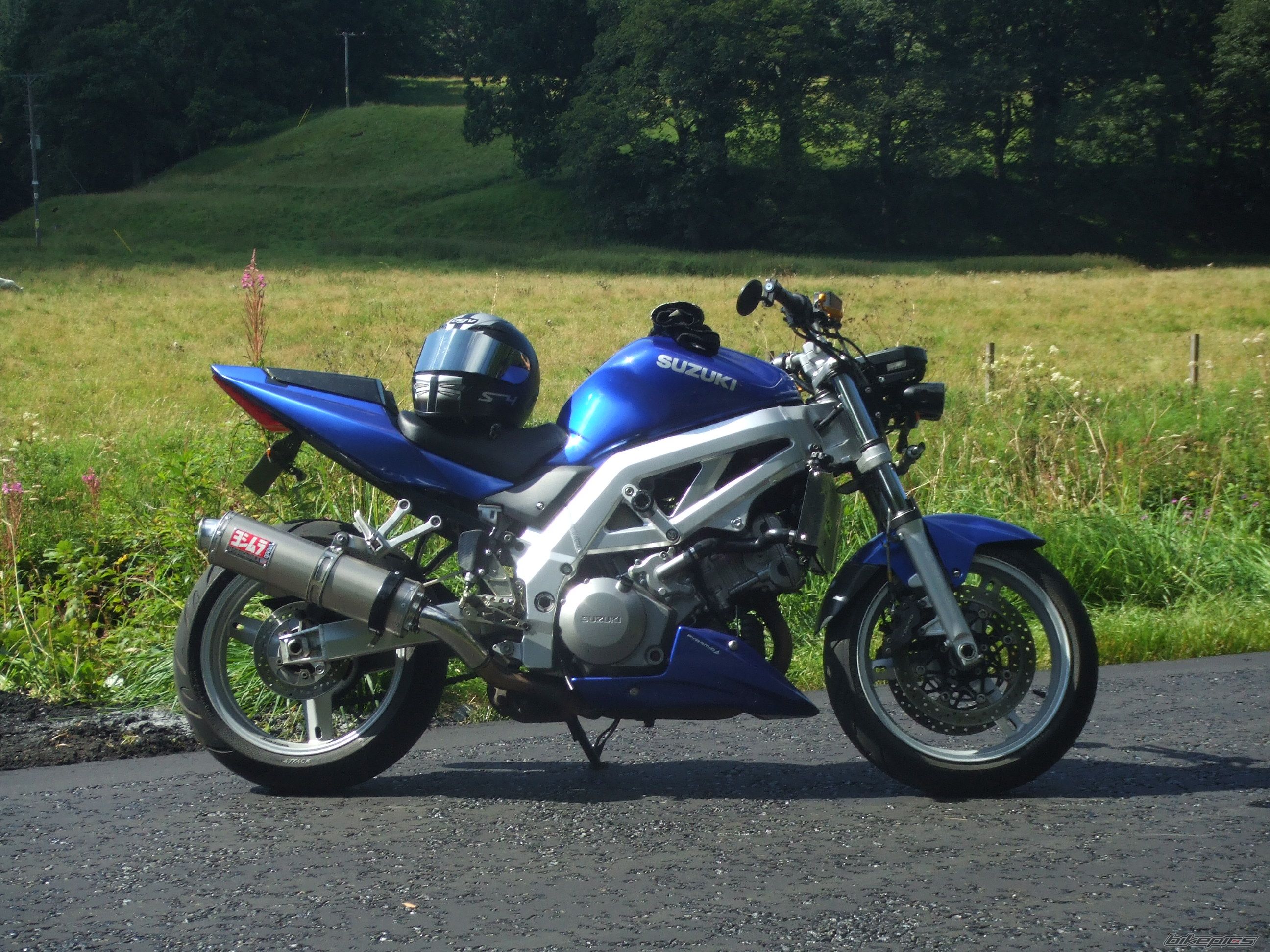 2003 SUZUKI SV 1000 | Picture 2049903 motorcycle photo