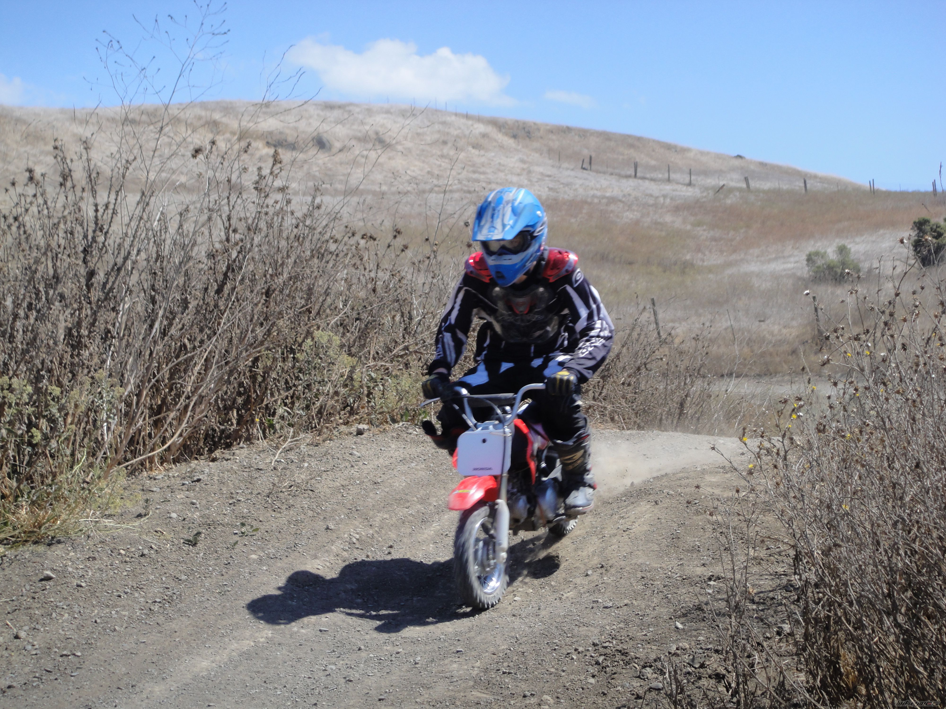 2005 HONDA CRF 50 | Picture 2049980 motorcycle photo