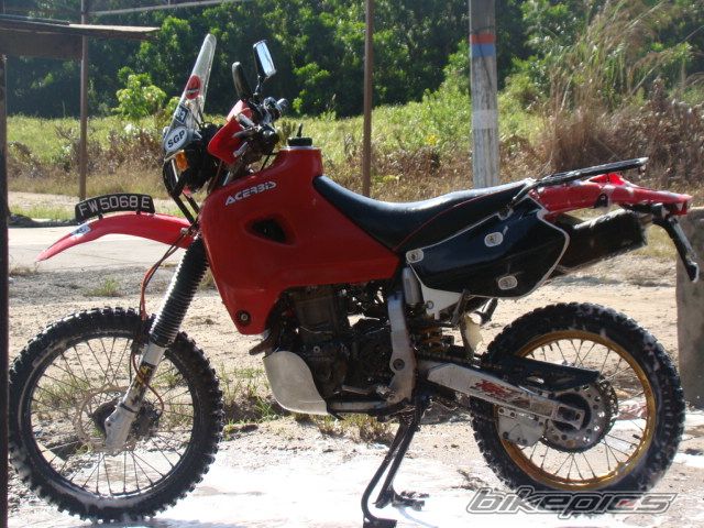 2002 HONDA XR 650 | Picture 2050288 motorcycle photo
