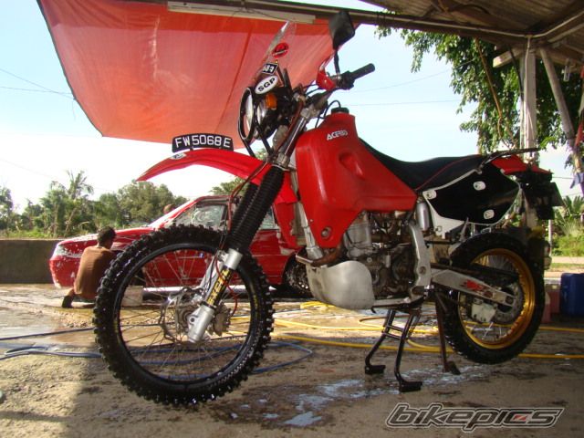 2002 HONDA XR 650 | Picture 2050289 motorcycle photo