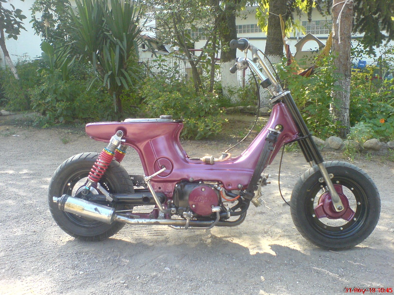 1995 HONDA CHALY | Picture 2051111 motorcycle photo