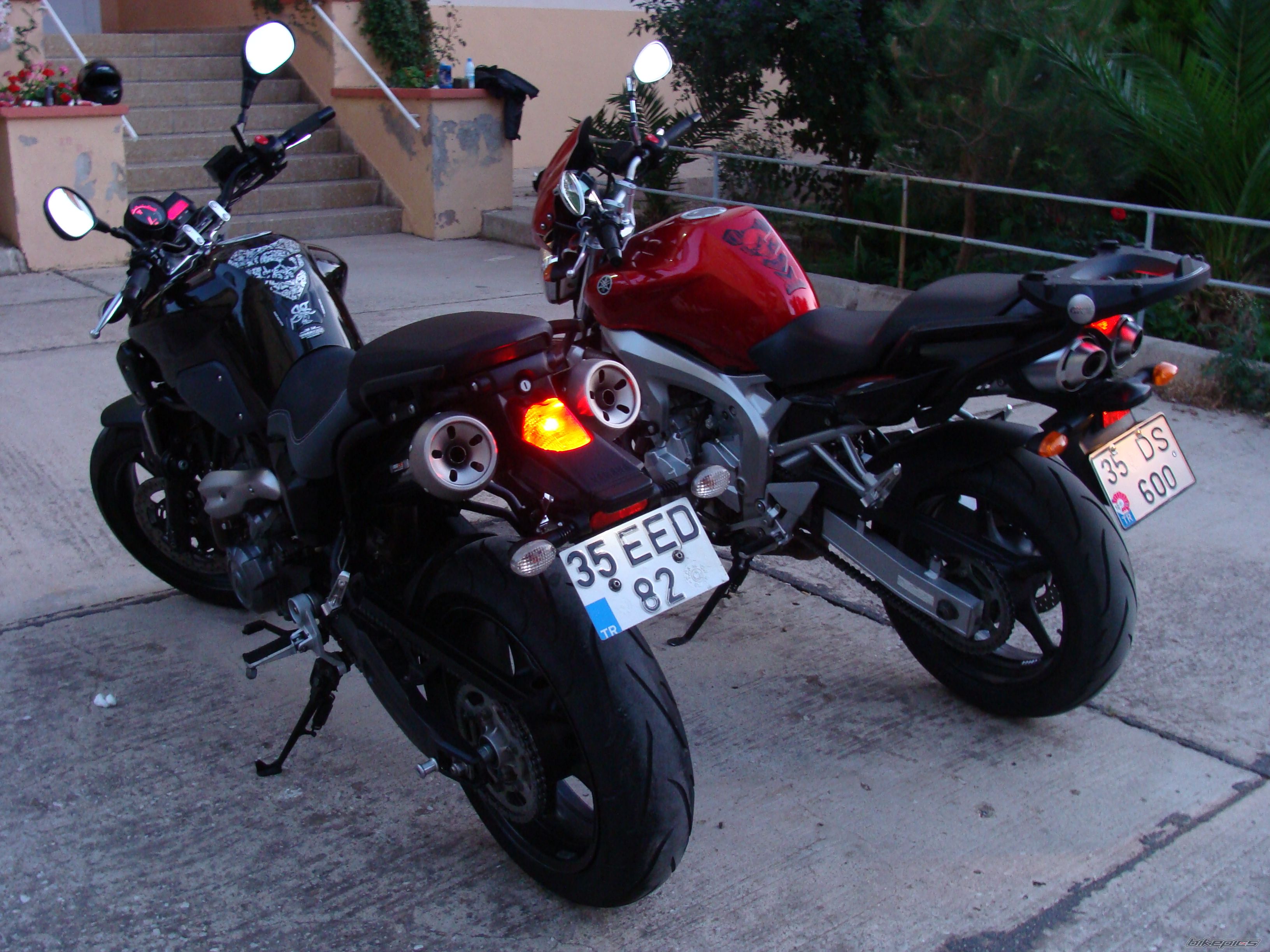 2008 YAMAHA MT 03 | Picture 2051323 motorcycle photo
