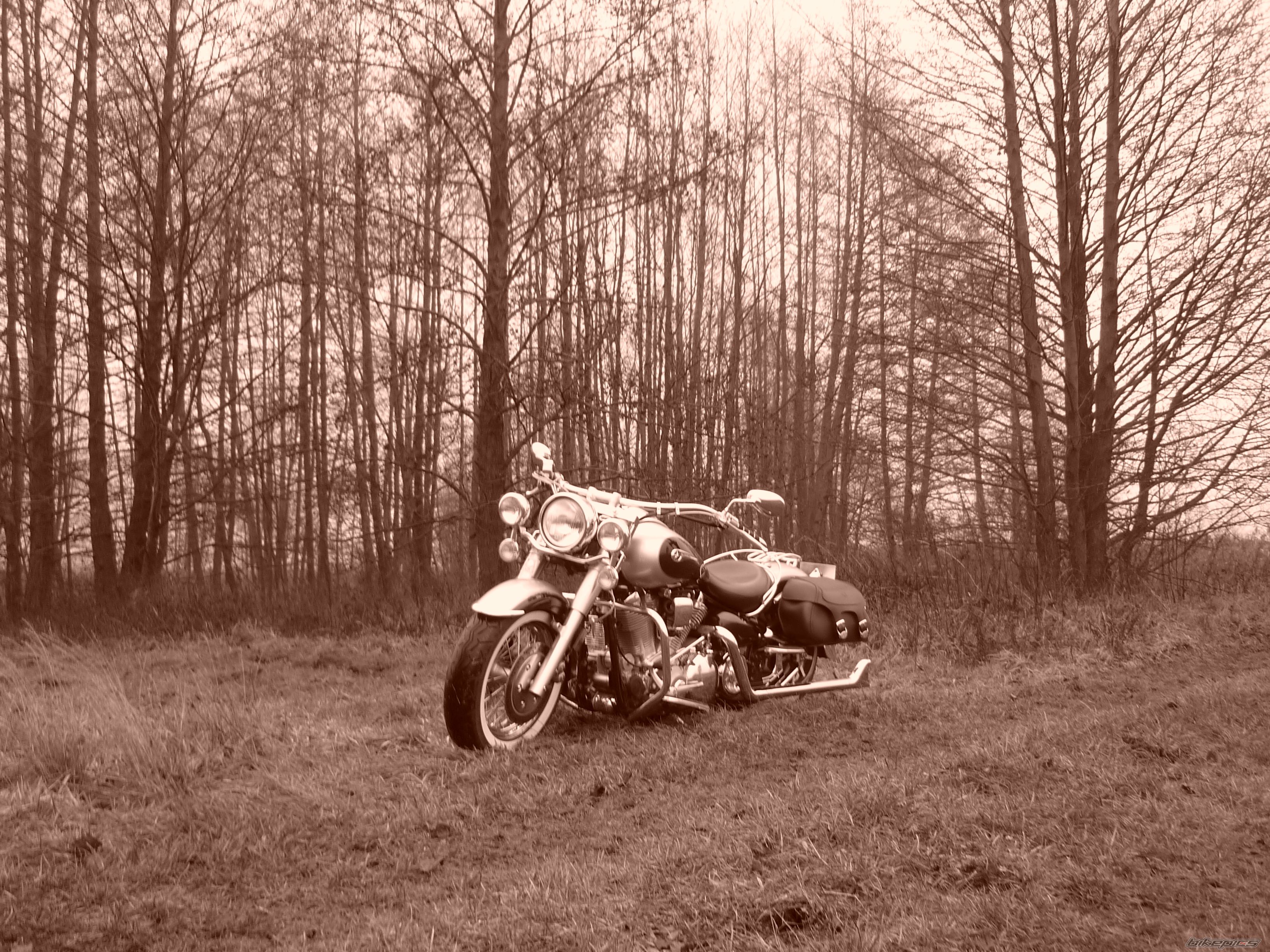 2007 YAMAHA ROAD STAR SILVERADO XVS 1700 | Picture 2052067 motorcycle photo