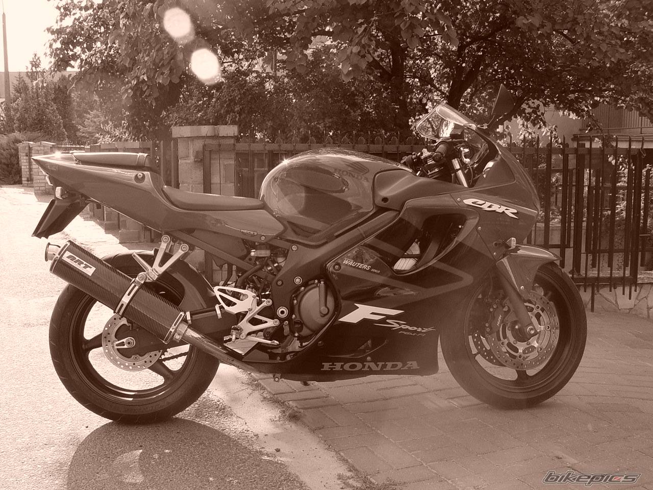 2001 HONDA CBR 600 FS | Picture 205325 motorcycle photo