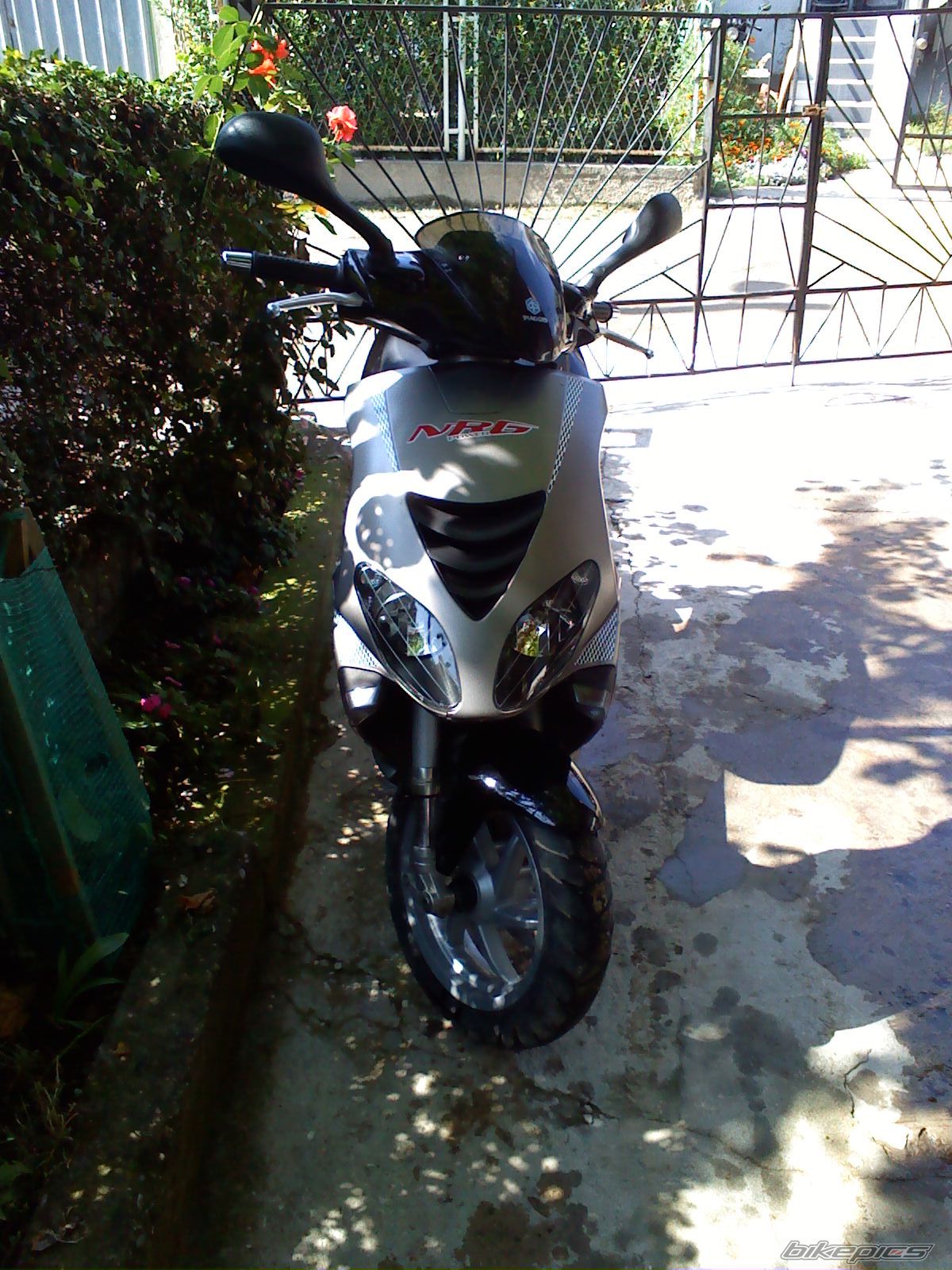 2005 PIAGGIO NRG | Picture 2053985 motorcycle photo
