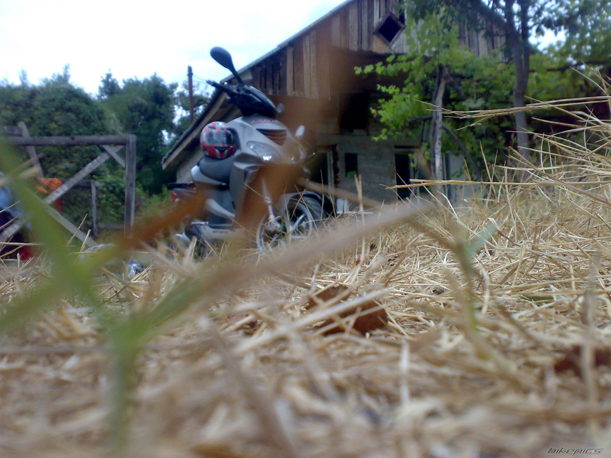 2005 PIAGGIO NRG | Picture 2053997 motorcycle photo
