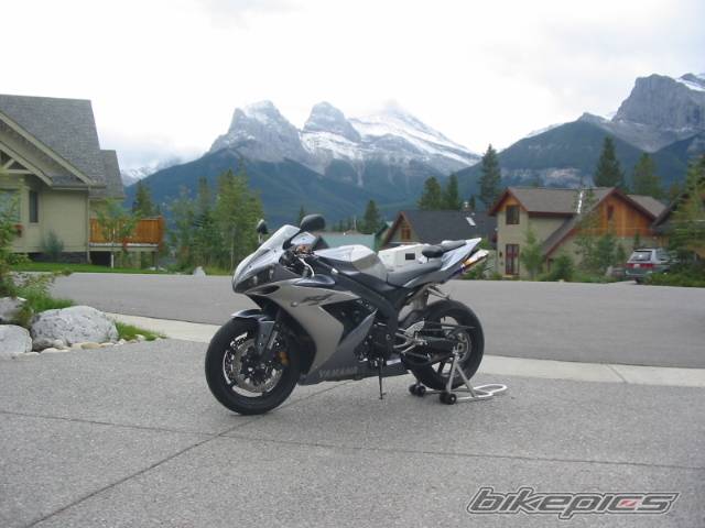 2004 YAMAHA YZF R1 | Picture 205406 motorcycle photo