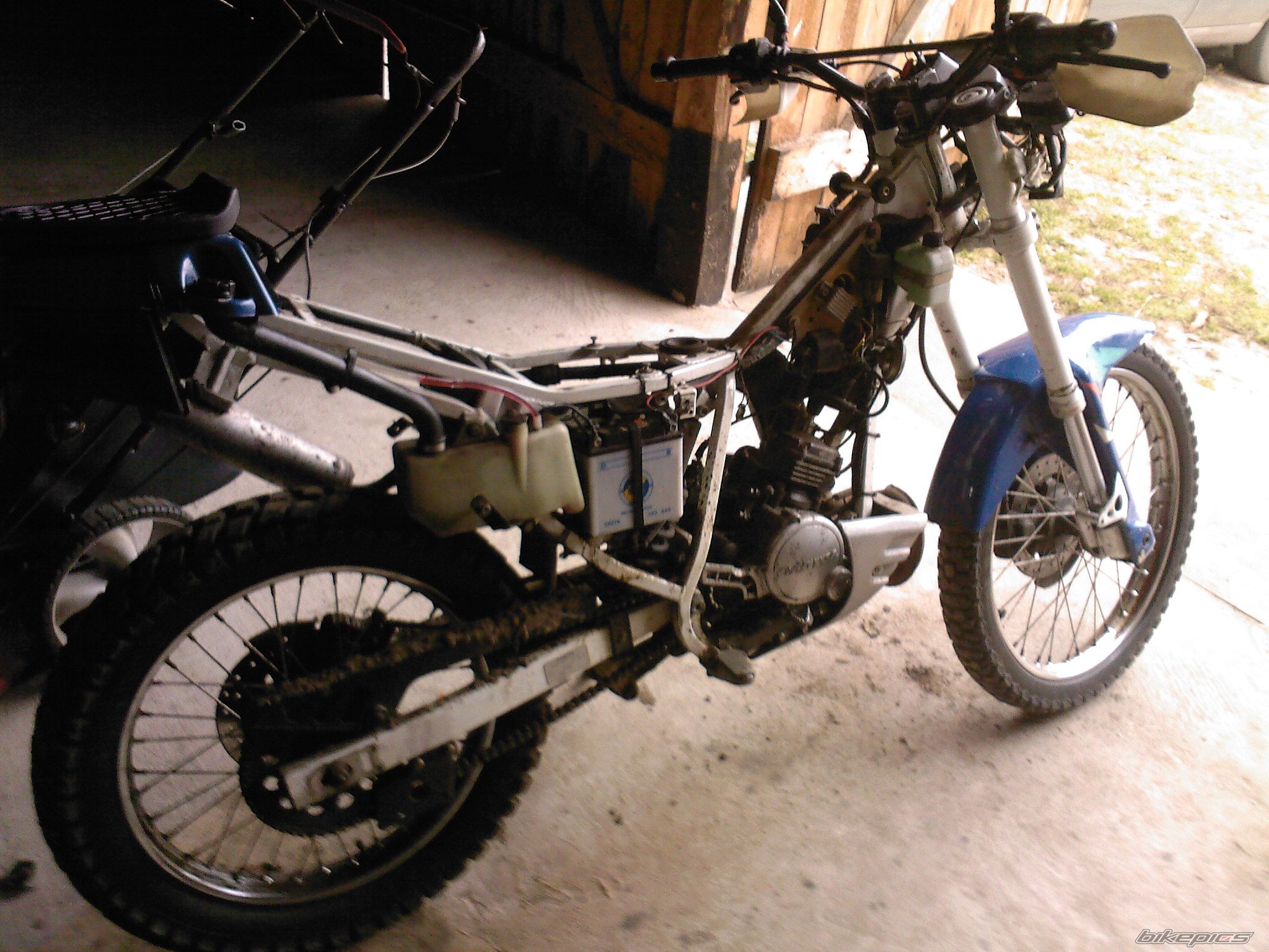1990 CAGIVA COCIS 80 | Picture 2054103 motorcycle photo
