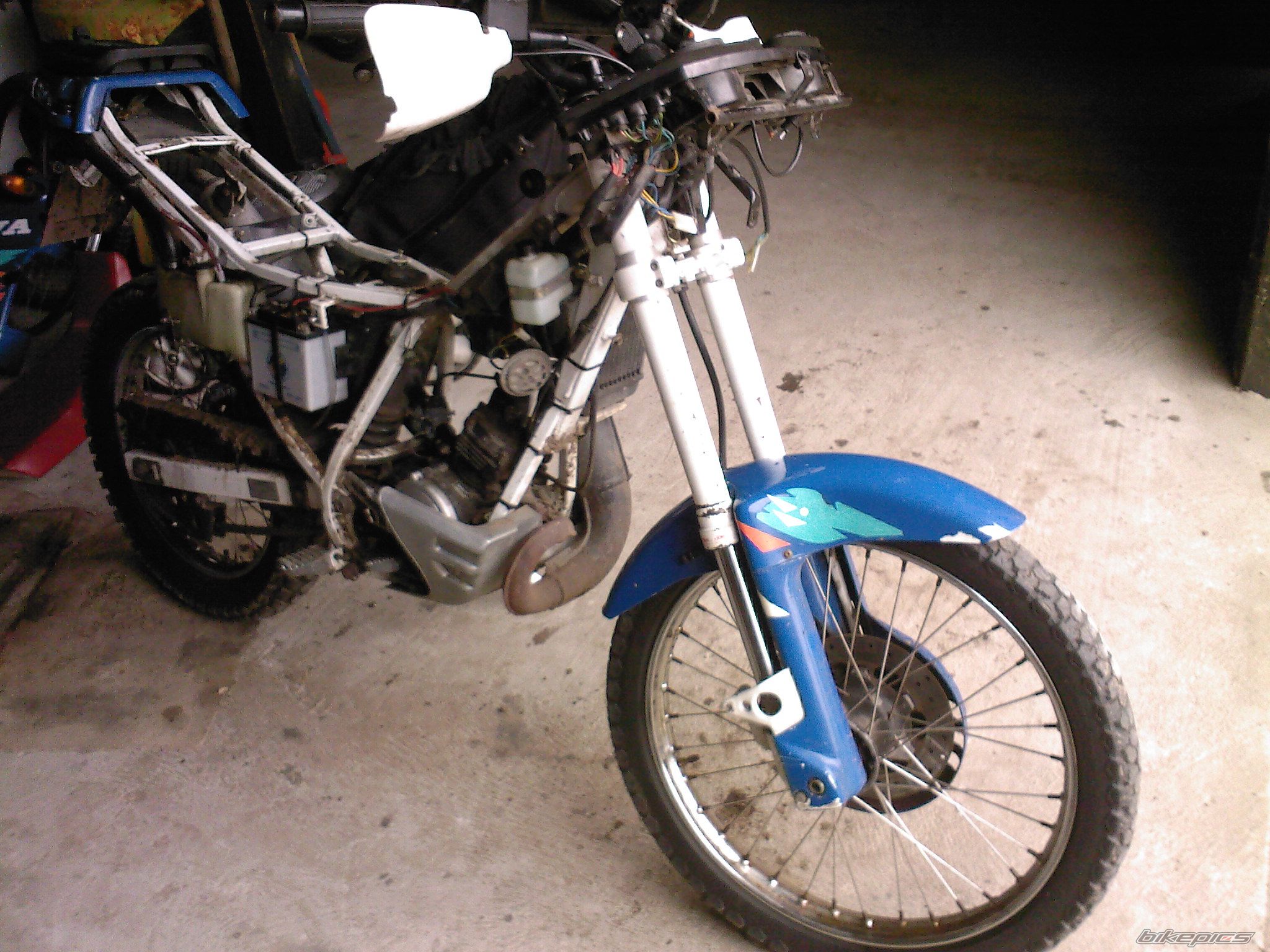 1990 CAGIVA COCIS 80 | Picture 2054128 motorcycle photo