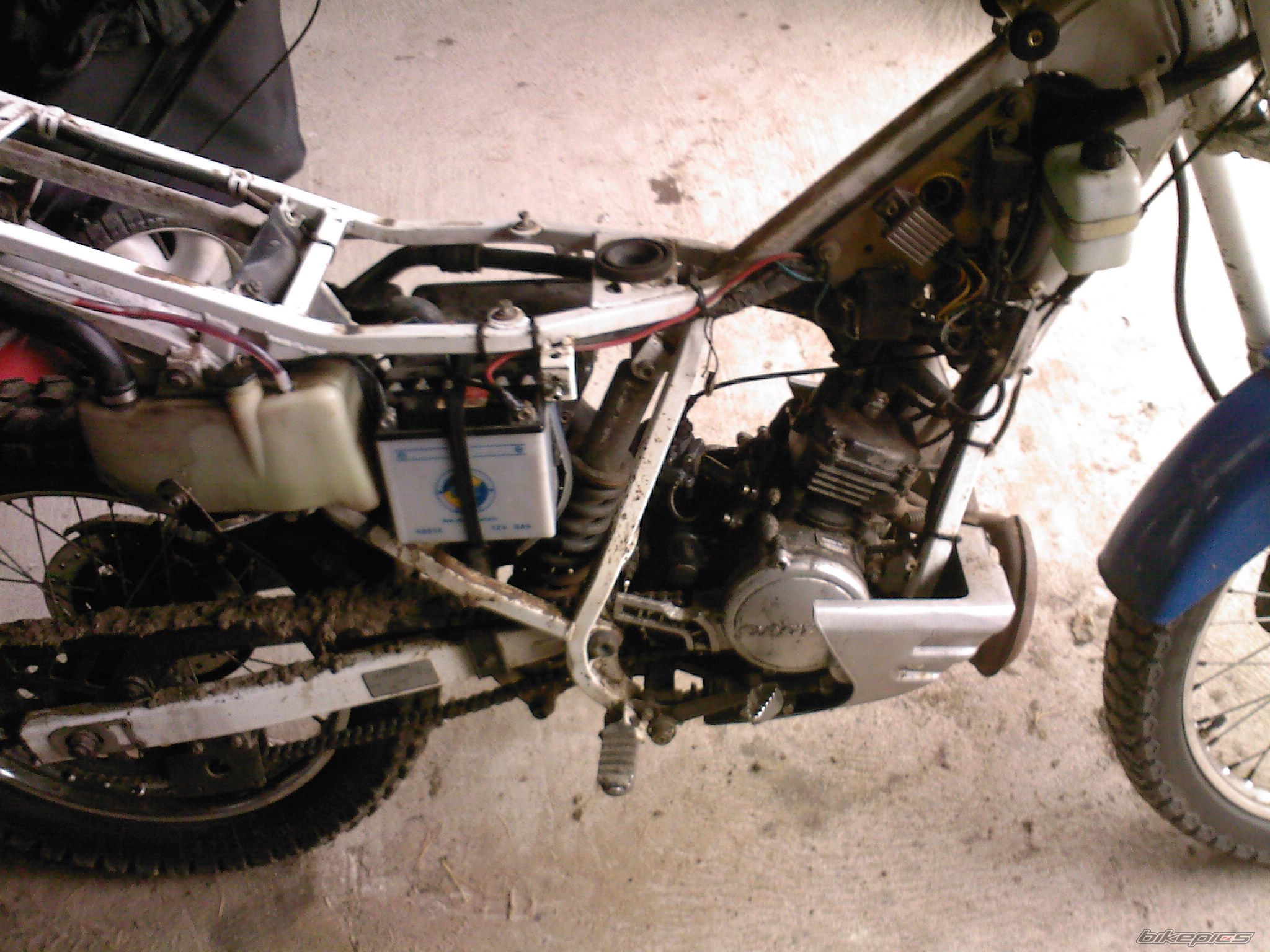 1990 CAGIVA COCIS 80 | Picture 2054132 motorcycle photo