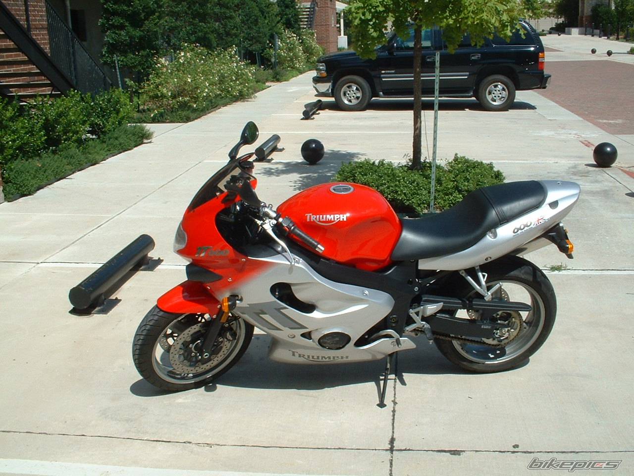 2000 TRIUMPH TT 600 | Picture 205425 motorcycle photo