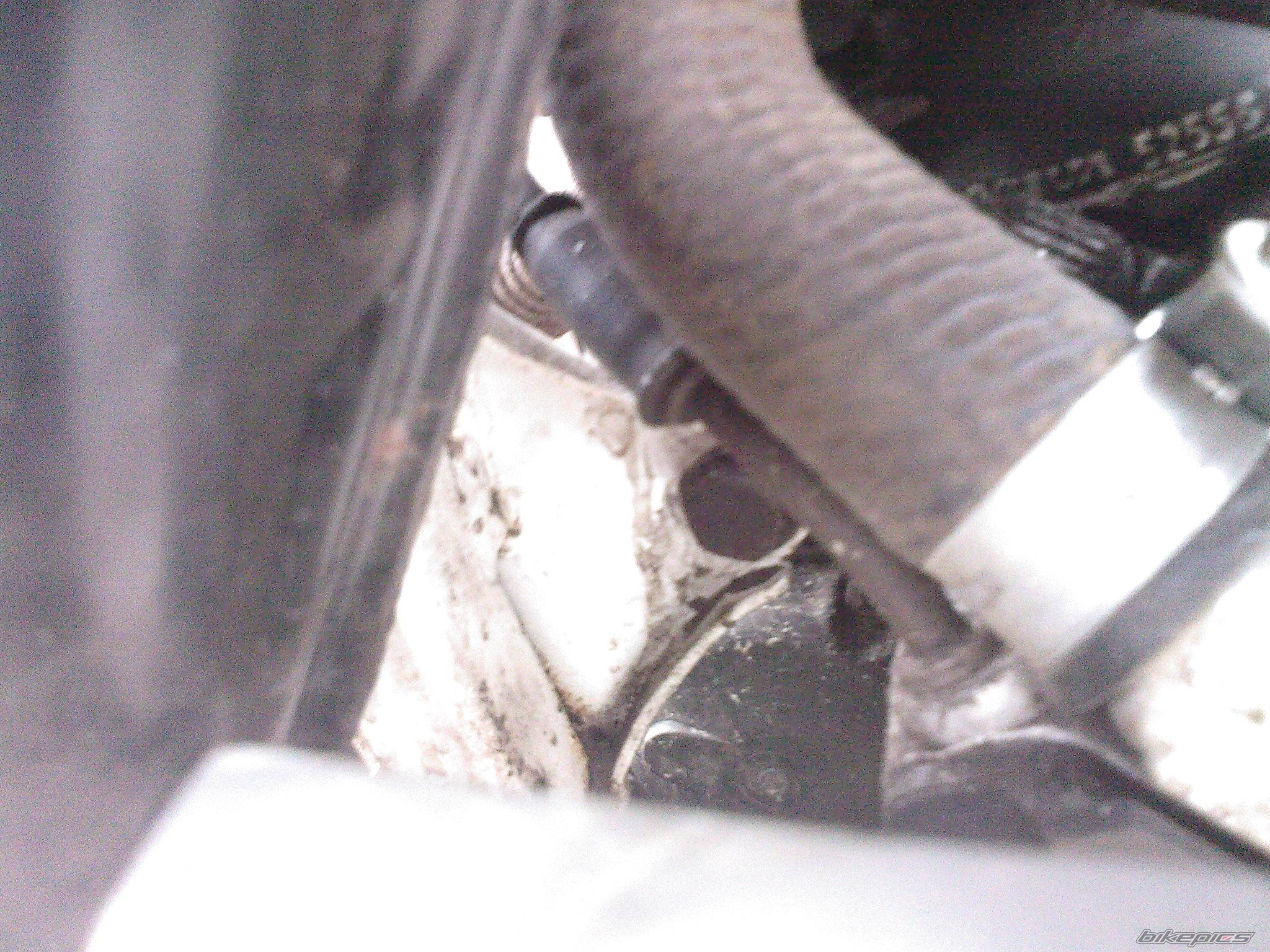 1990 CAGIVA COCIS 80 | Picture 2054250 motorcycle photo