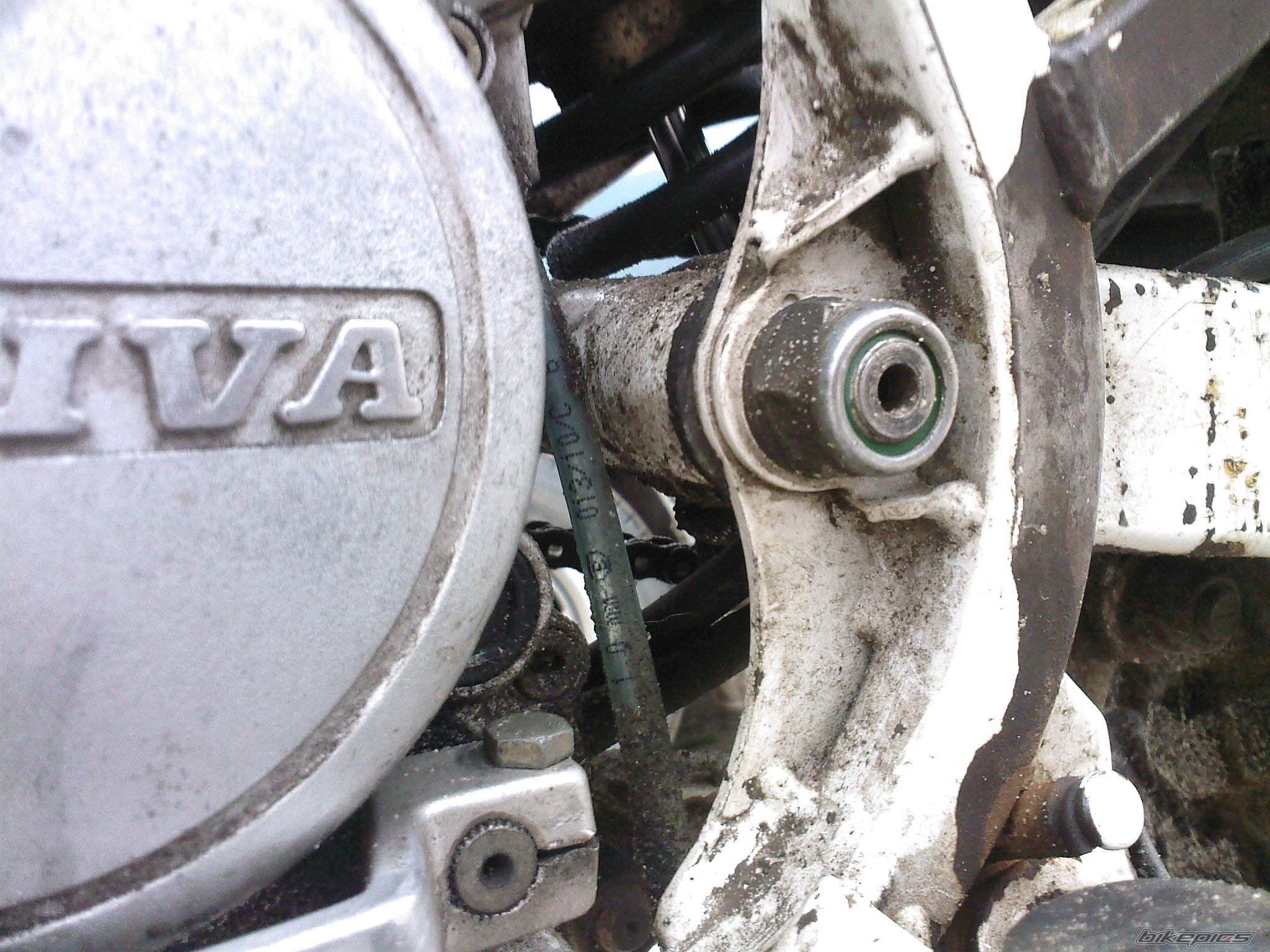 1990 CAGIVA COCIS 80 | Picture 2054258 motorcycle photo