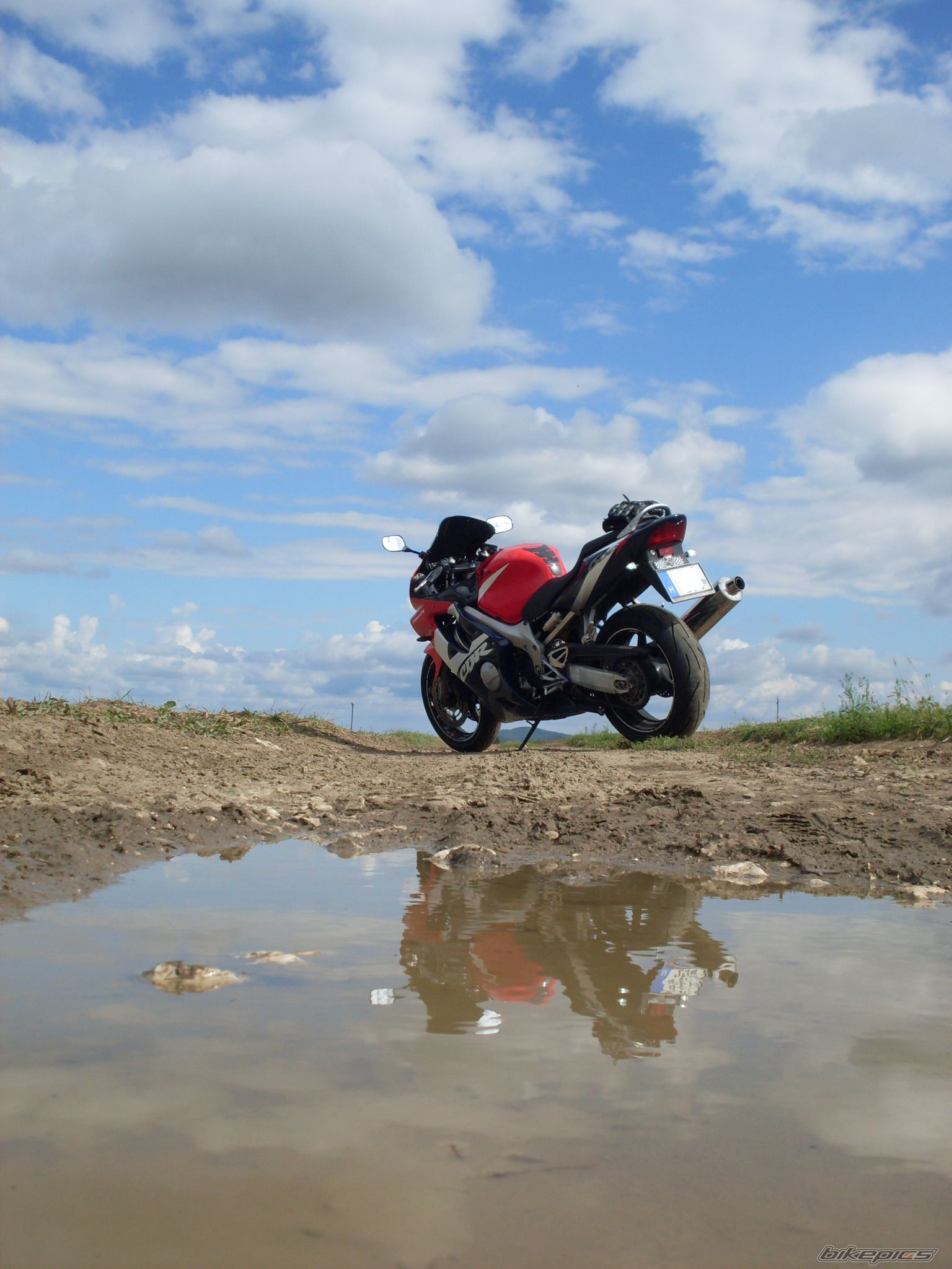 2002 HONDA CBR 600 | Picture 2054359 motorcycle photo