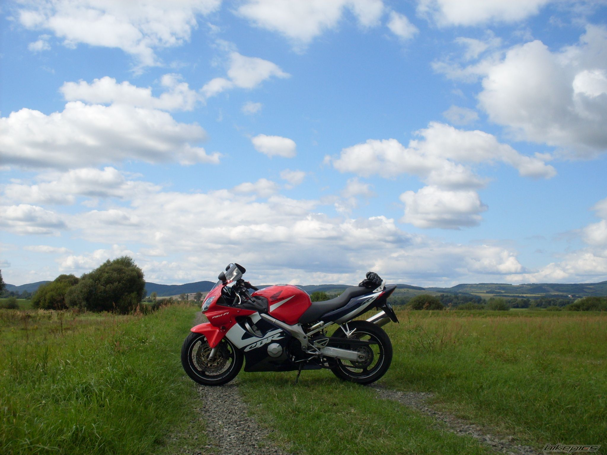 2002 HONDA CBR 600 | Picture 2054372 motorcycle photo