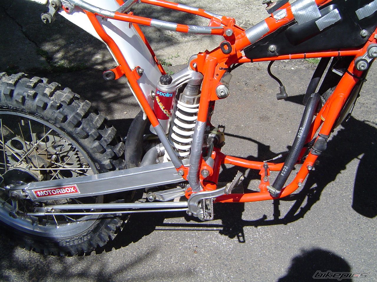 1987 KTM 80 MX | Picture 2054419 motorcycle photo