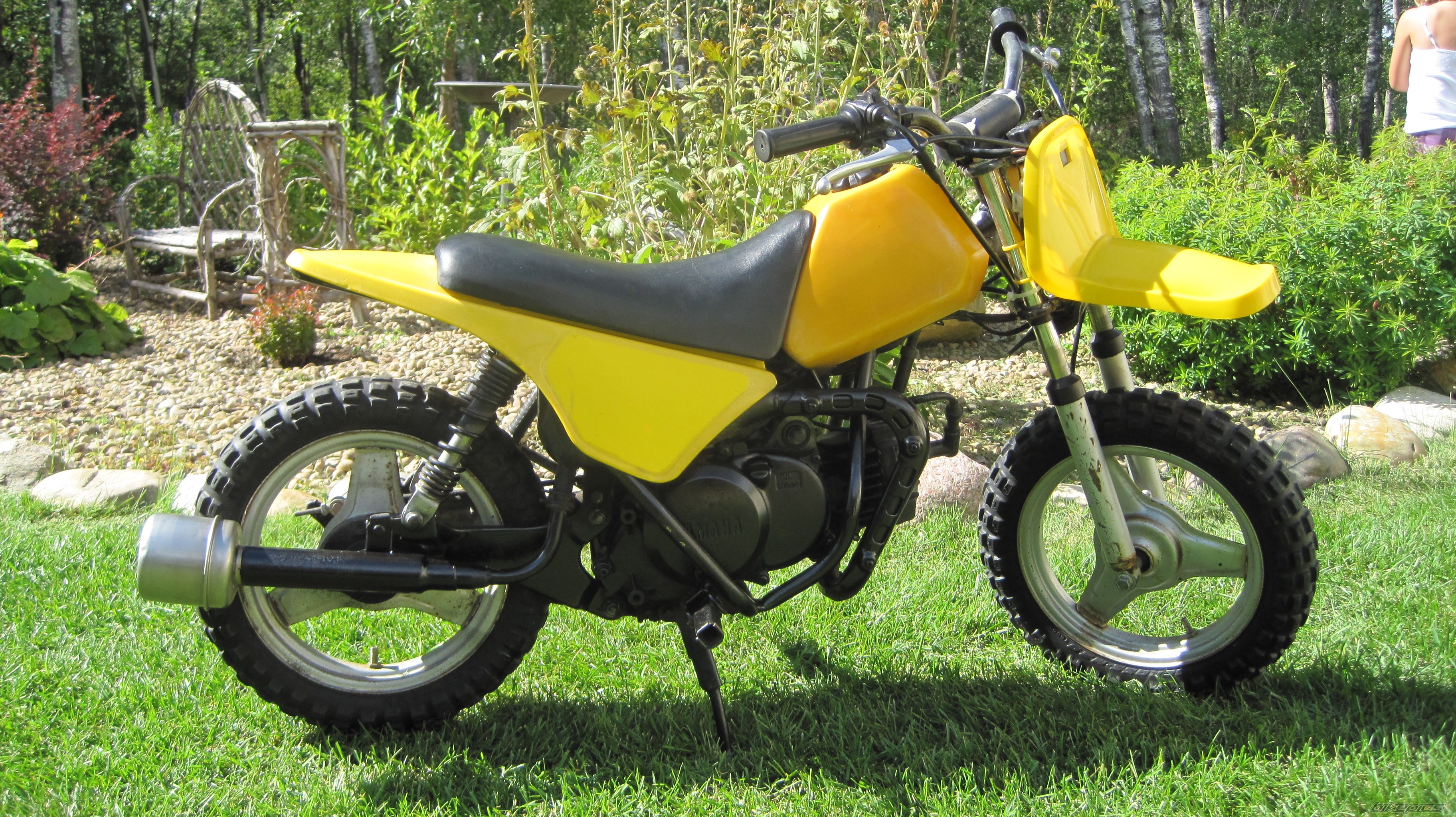 1981 YAMAHA PW 50 | Picture 2054584 motorcycle photo