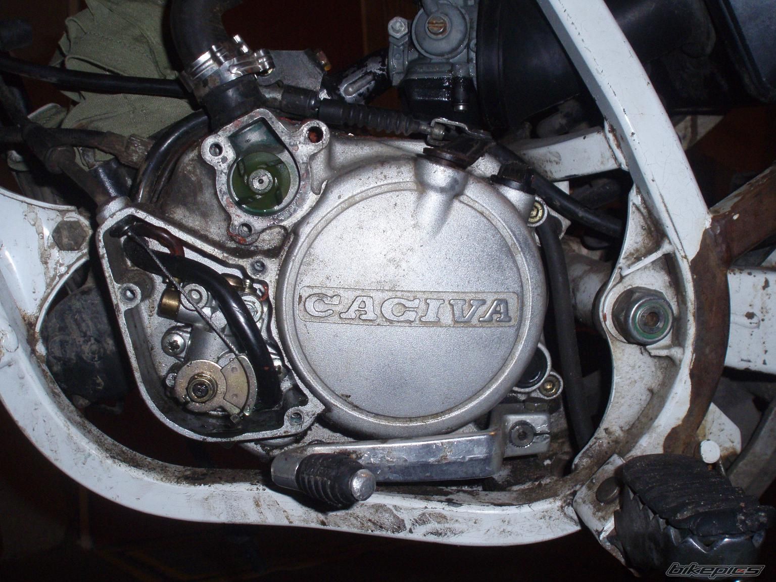 1990 CAGIVA COCIS 80 | Picture 2054894 motorcycle photo