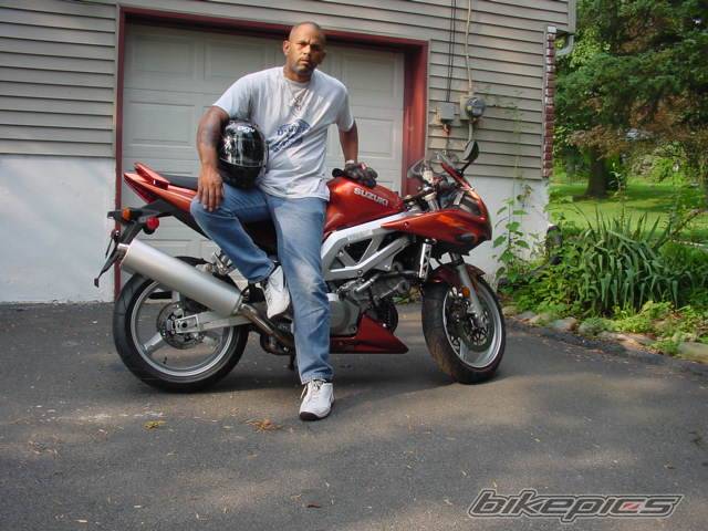 2003 SUZUKI SV 1000 | Picture 205492 motorcycle photo