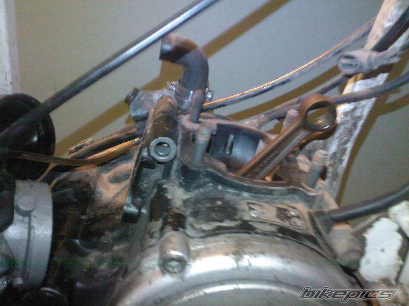 1990 CAGIVA COCIS 80 | Picture 2054957 motorcycle photo