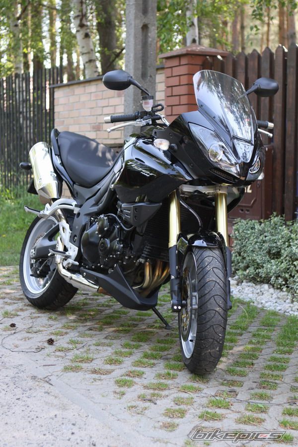 2008 TRIUMPH TIGER | Picture 2055143 motorcycle photo