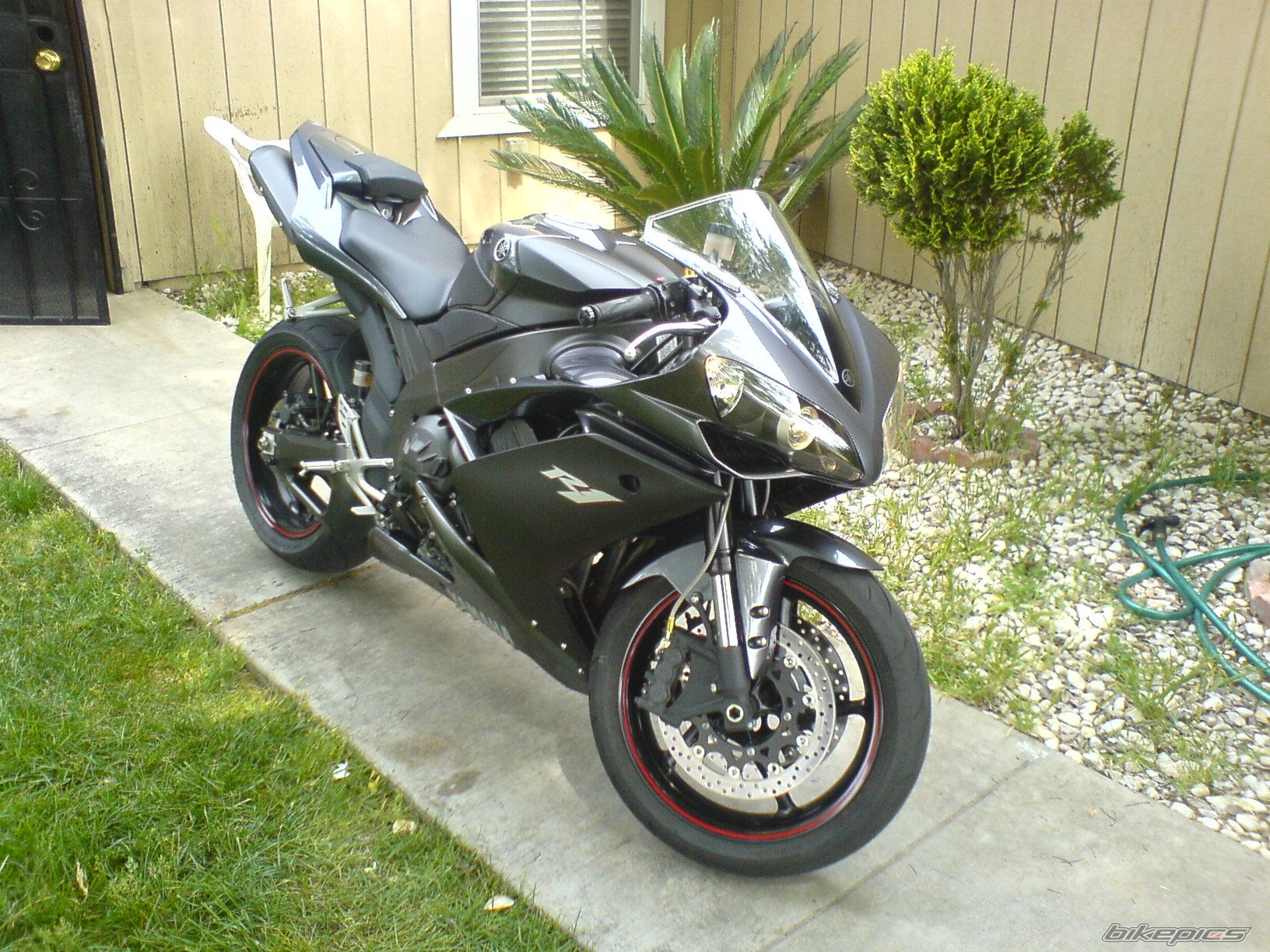    | Picture 2055232 motorcycle photo