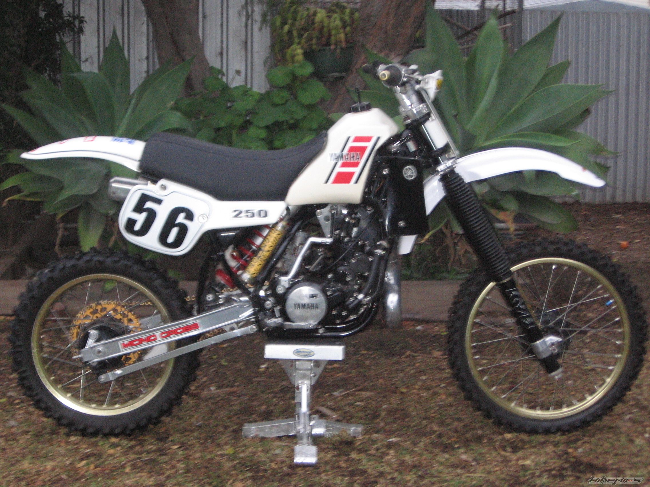 1983 YAMAHA YZ 250 | Picture 2055458 motorcycle photo