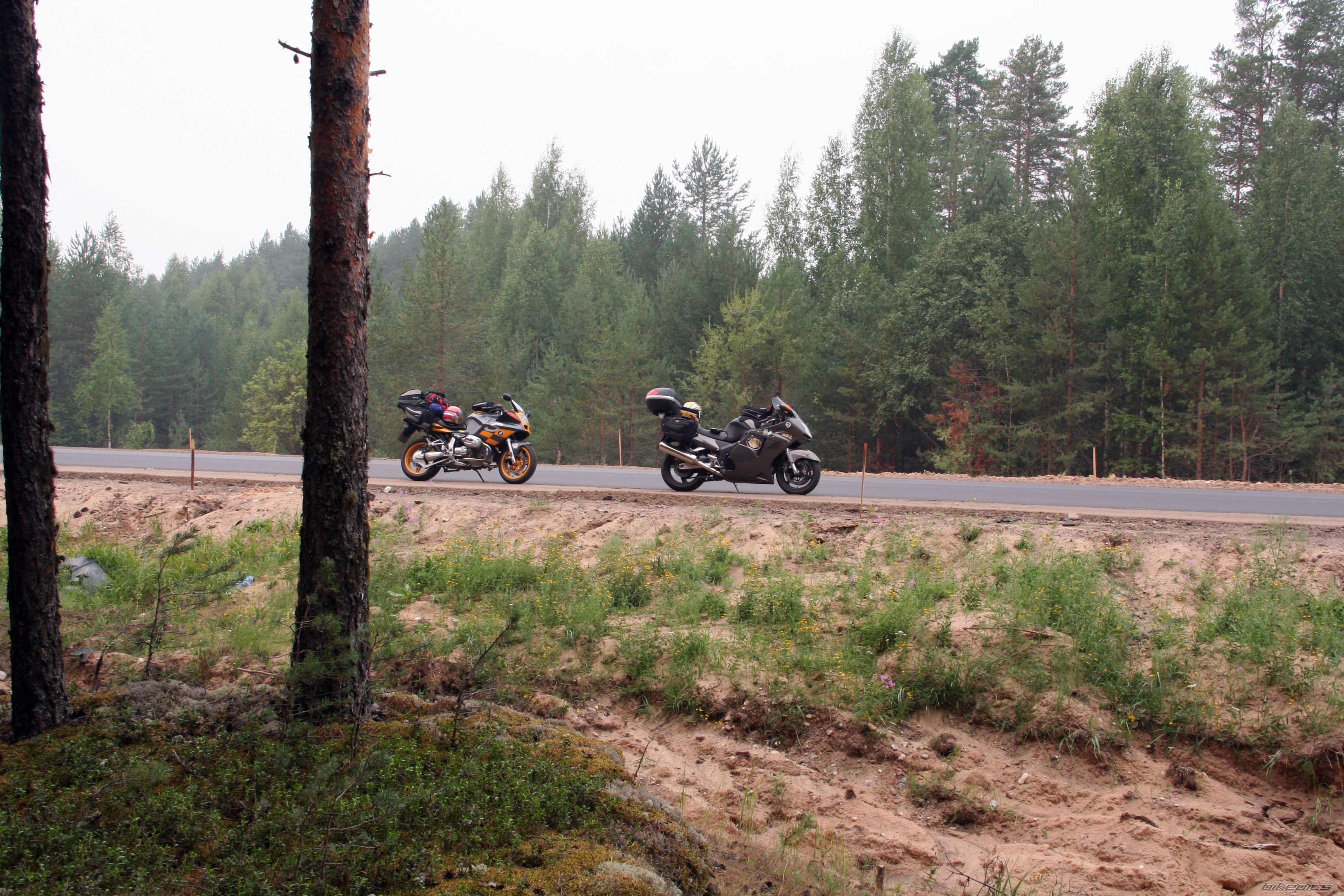 2000 HONDA CBR 1100 BLACKBIRD | Picture 2055460 motorcycle photo