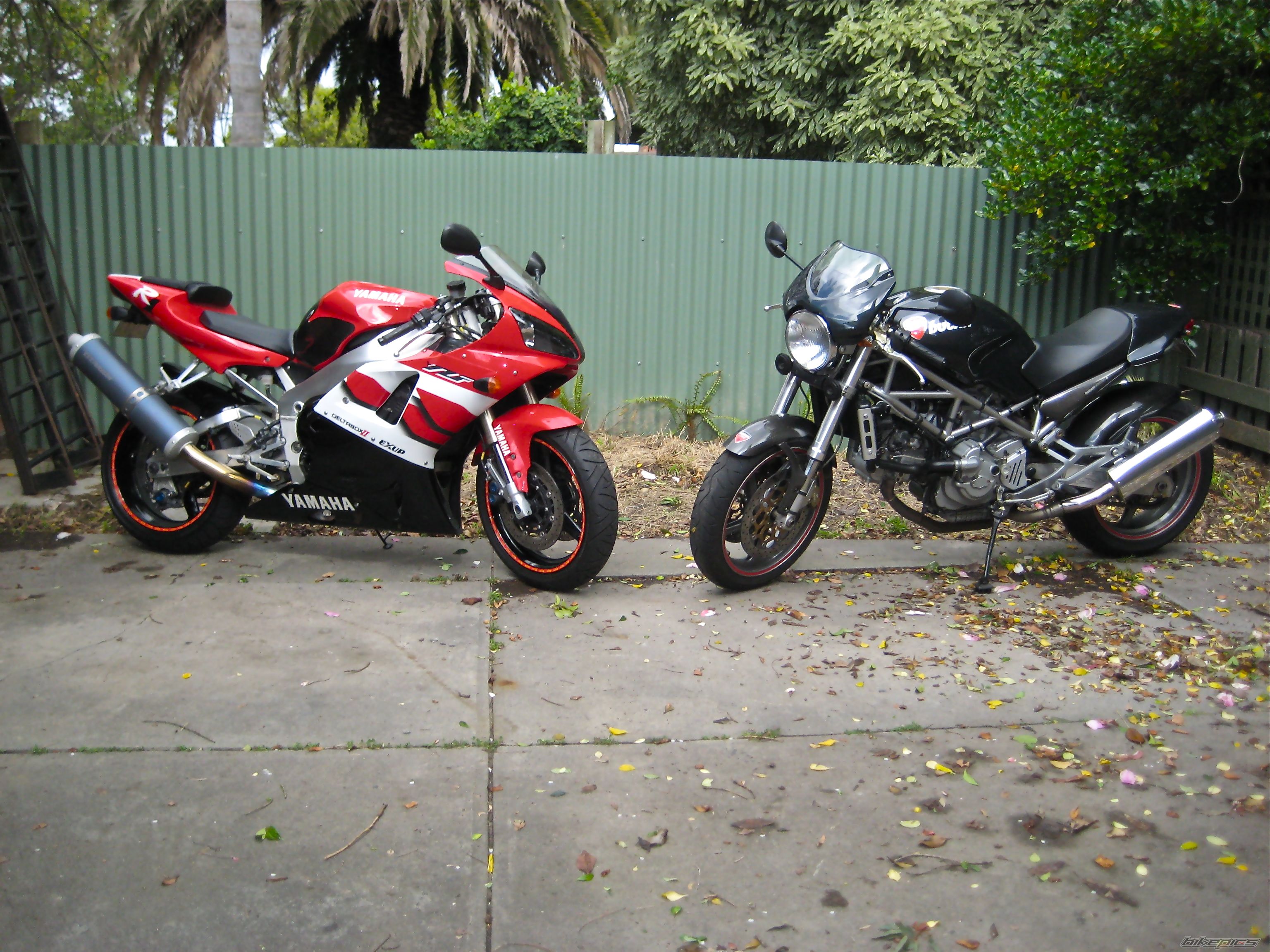 2002 DUCATI MONSTER S4 | Picture 2055580 motorcycle photo