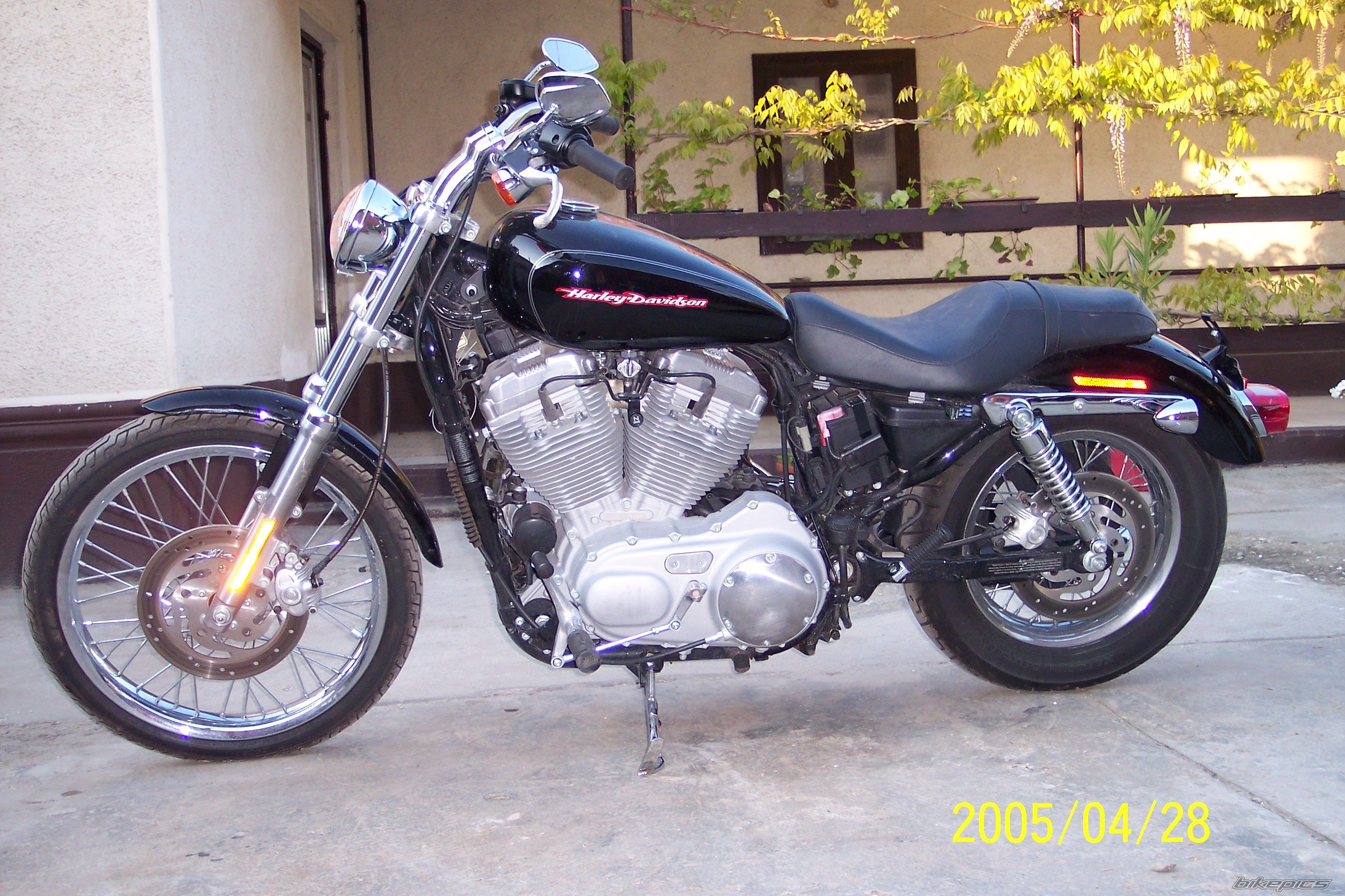 2005 HARLEY DAVIDSON XL 883C | Picture 2055772 motorcycle photo