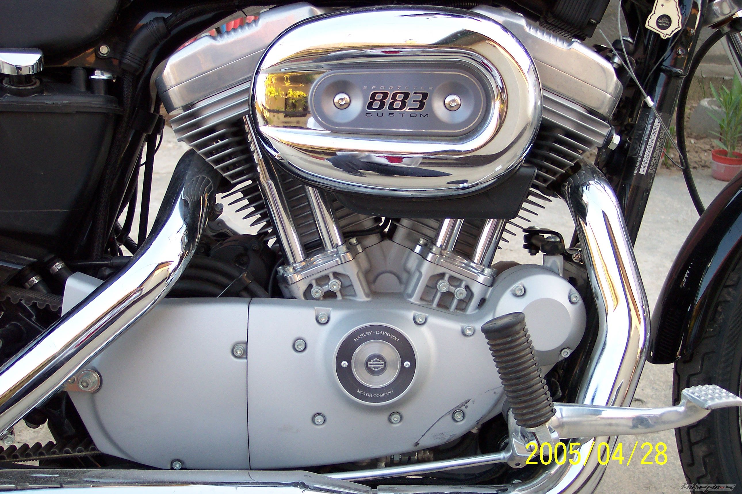 2005 HARLEY DAVIDSON XL 883C | Picture 2055773 motorcycle photo