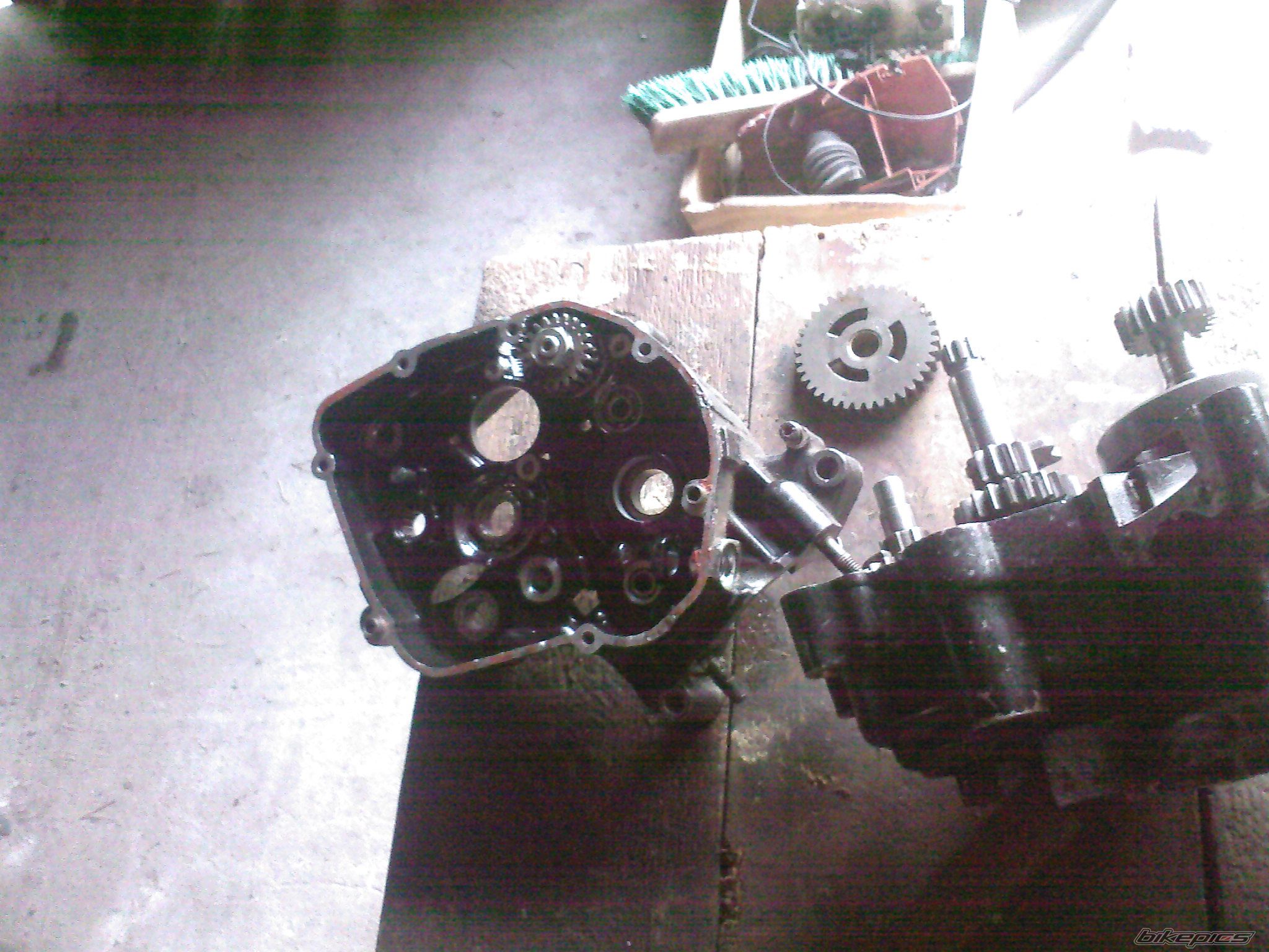 1990 CAGIVA COCIS 80 | Picture 2055841 motorcycle photo