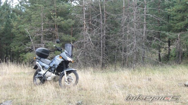 2006 KAWASAKI KLE 500 | Picture 2056112 motorcycle photo