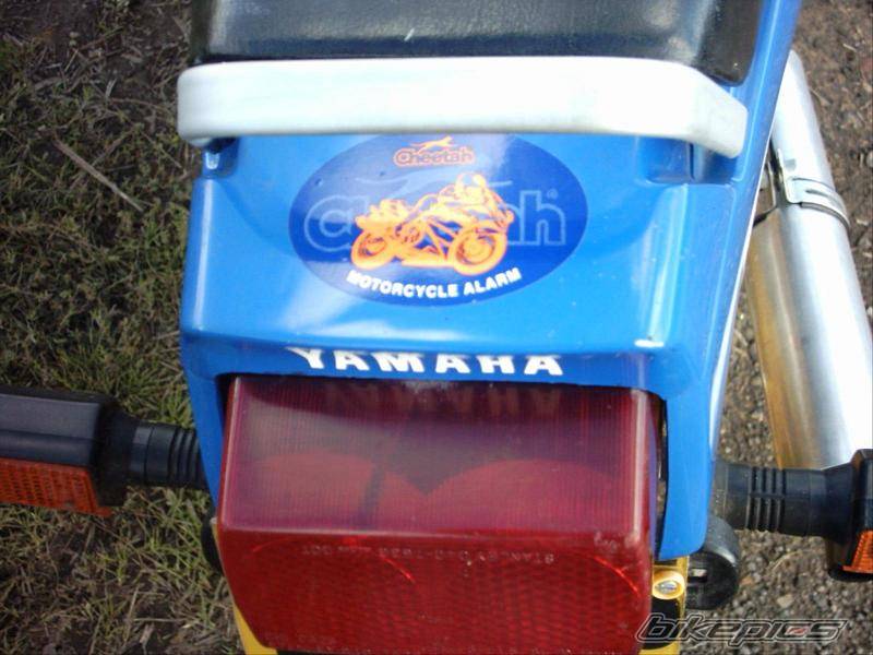 1989 YAMAHA TZR 125 | Picture 205629 motorcycle photo