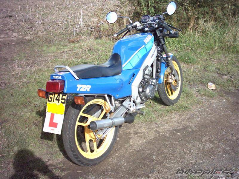1989 YAMAHA TZR 125 | Picture 205631 motorcycle photo