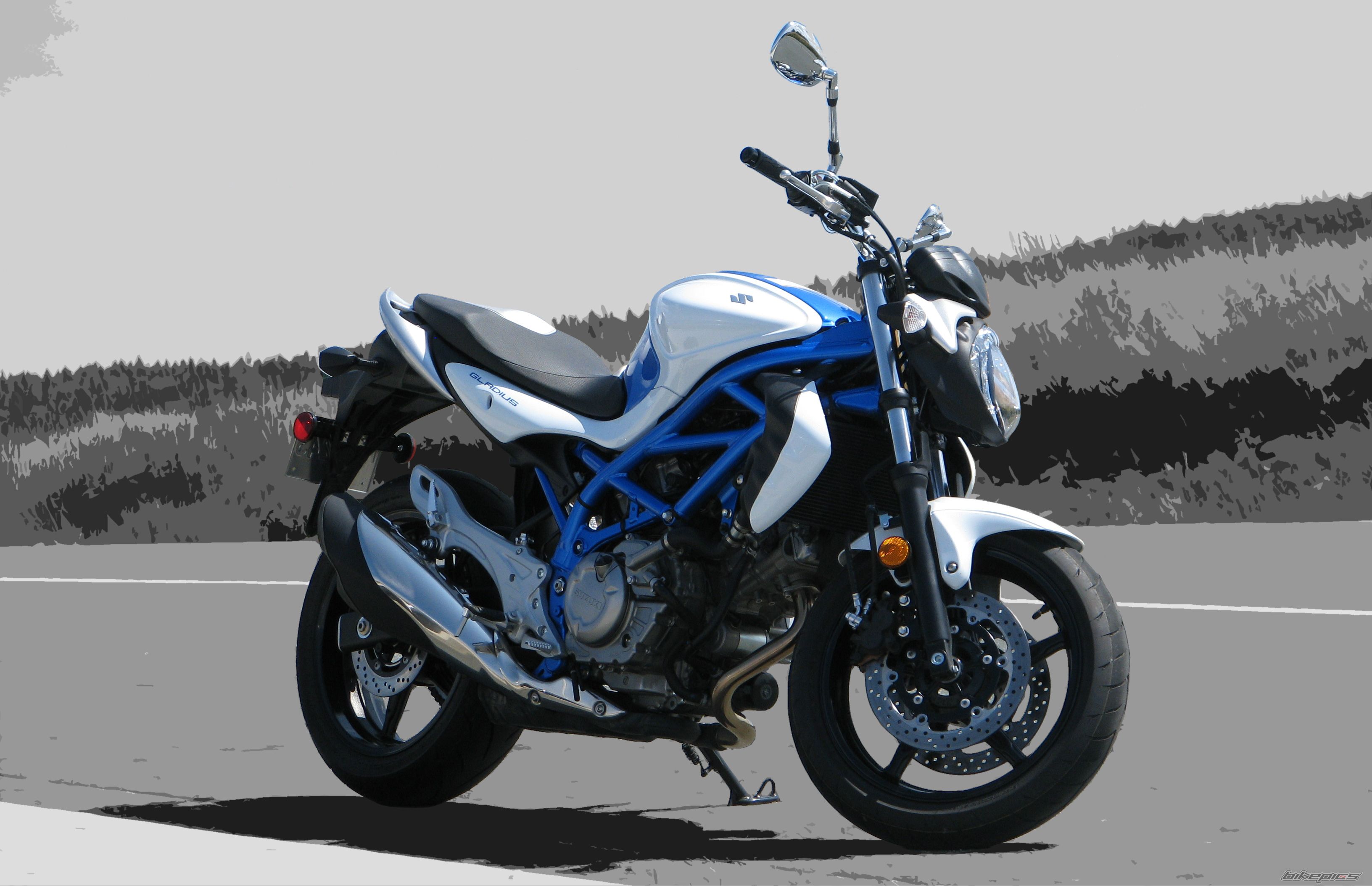 2009 SUZUKI SFV 650 | Picture 2056512 motorcycle photo