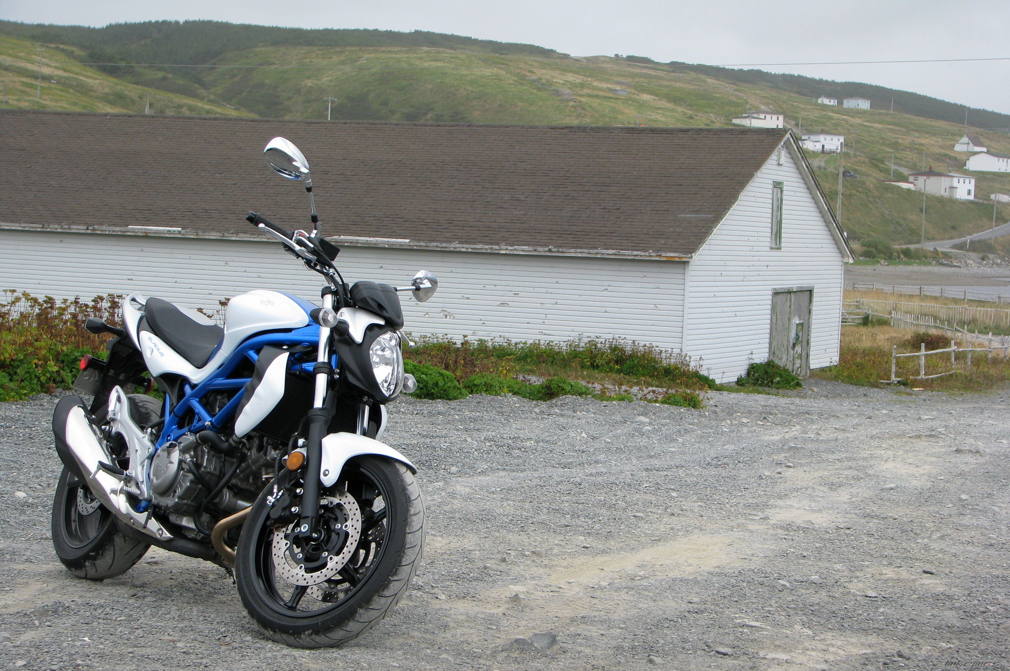 2009 SUZUKI SFV 650 | Picture 2056513 motorcycle photo