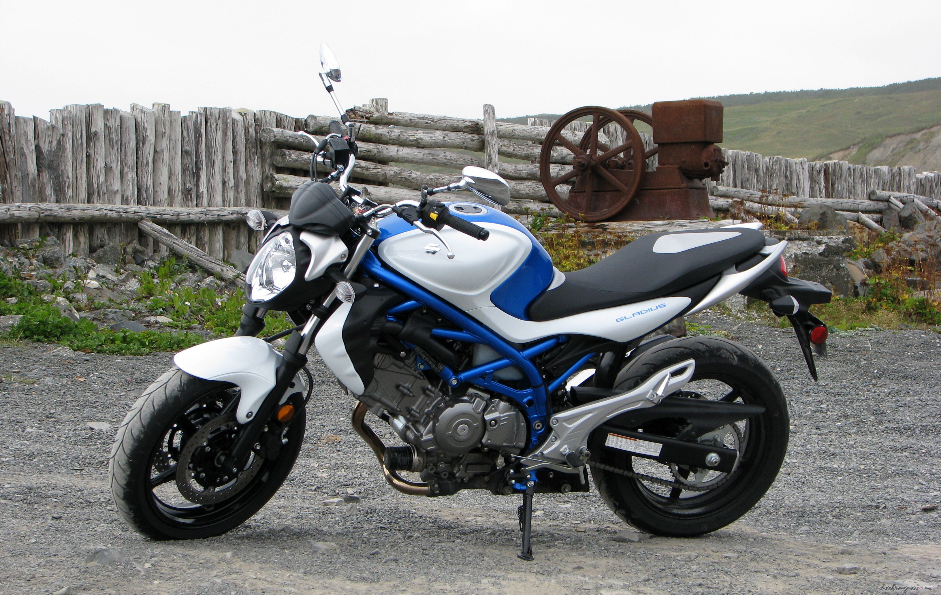 2009 SUZUKI SFV 650 | Picture 2056514 motorcycle photo
