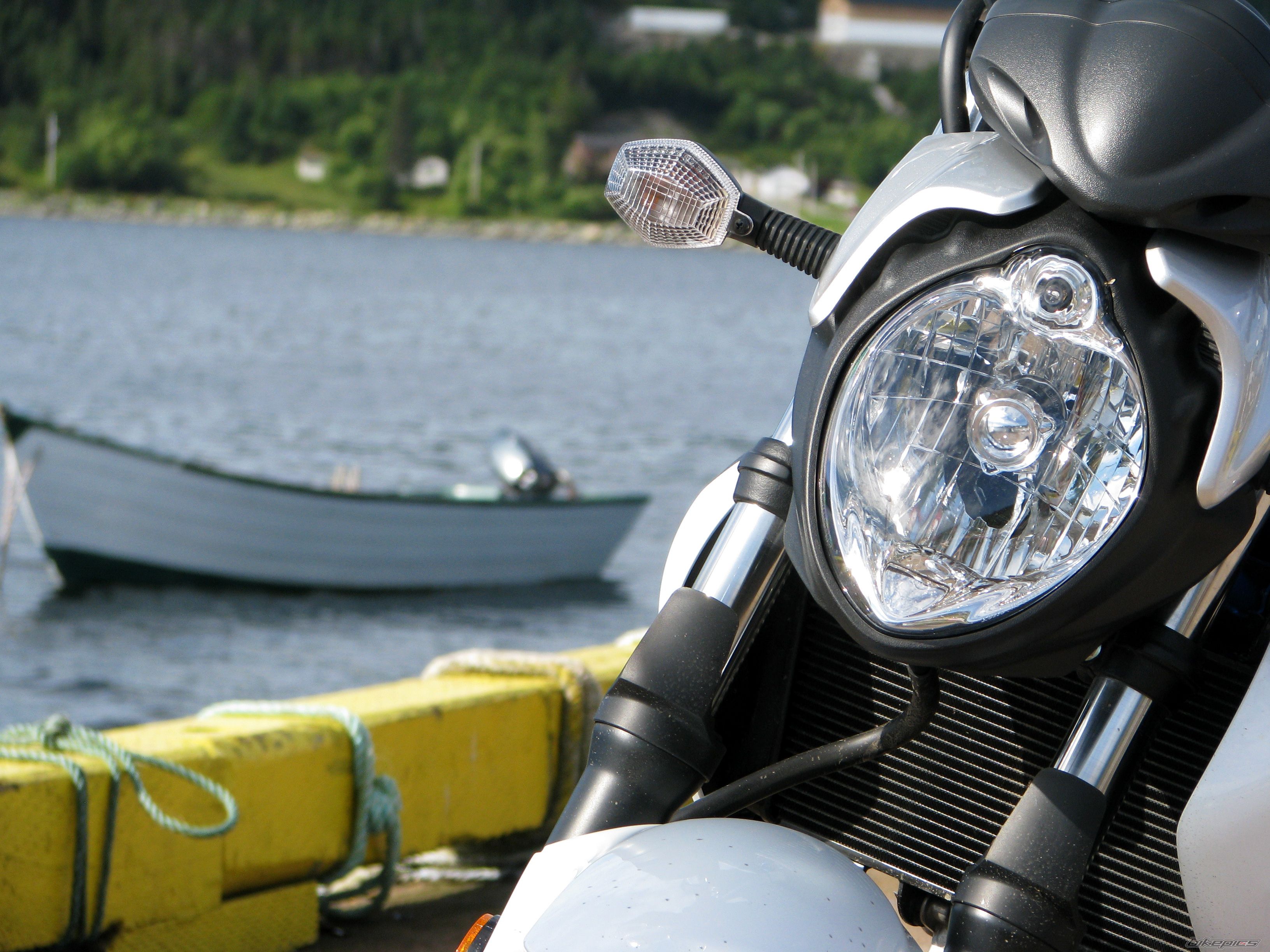 2009 SUZUKI SFV 650 | Picture 2056518 motorcycle photo